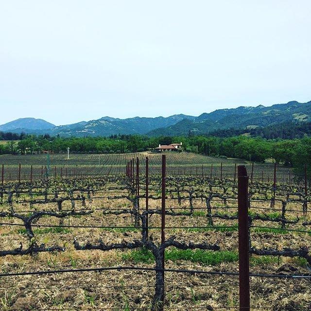 Appellation Wine Tours