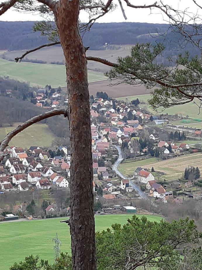 Jena Tourist-Information