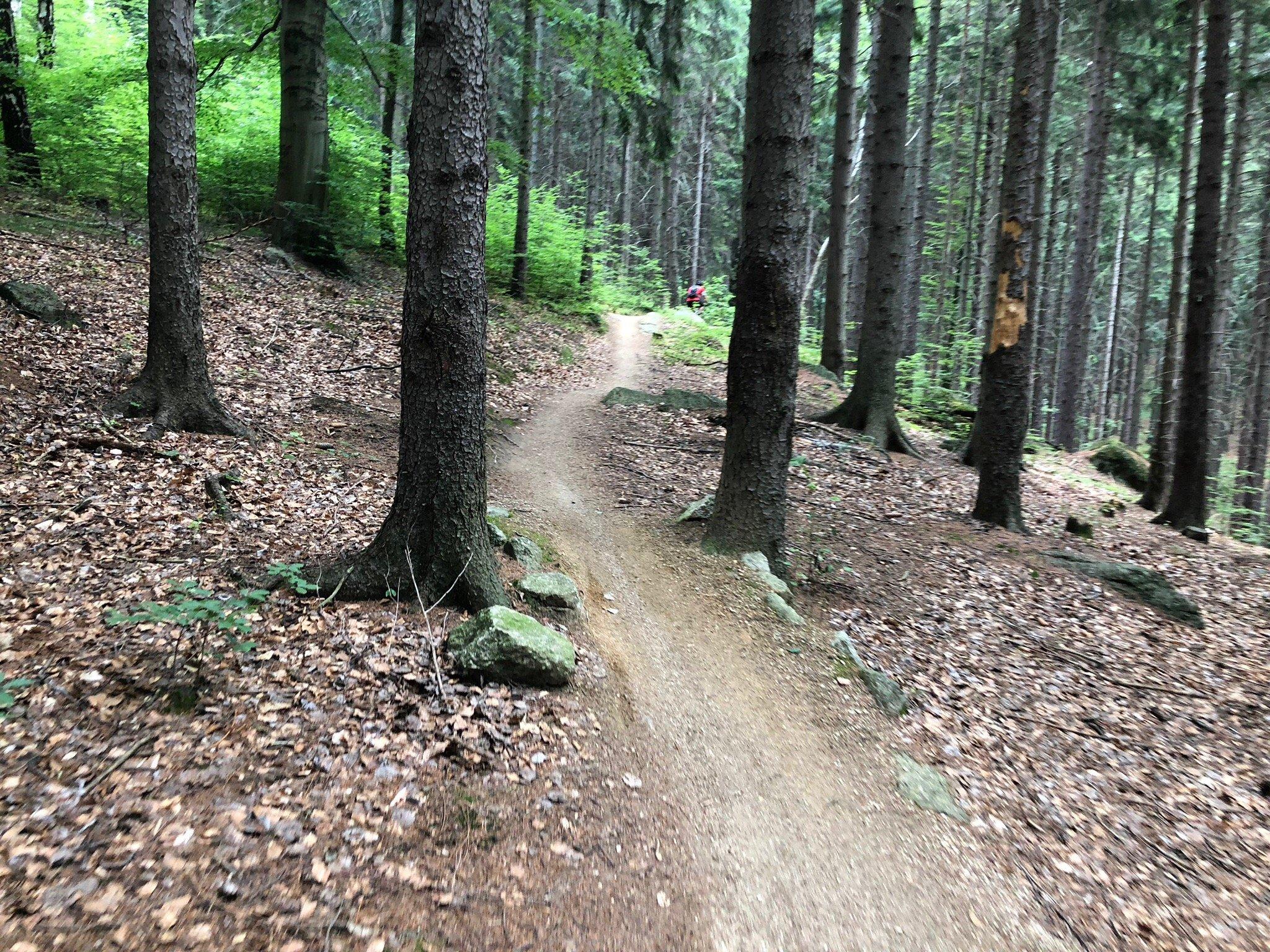 Single Track