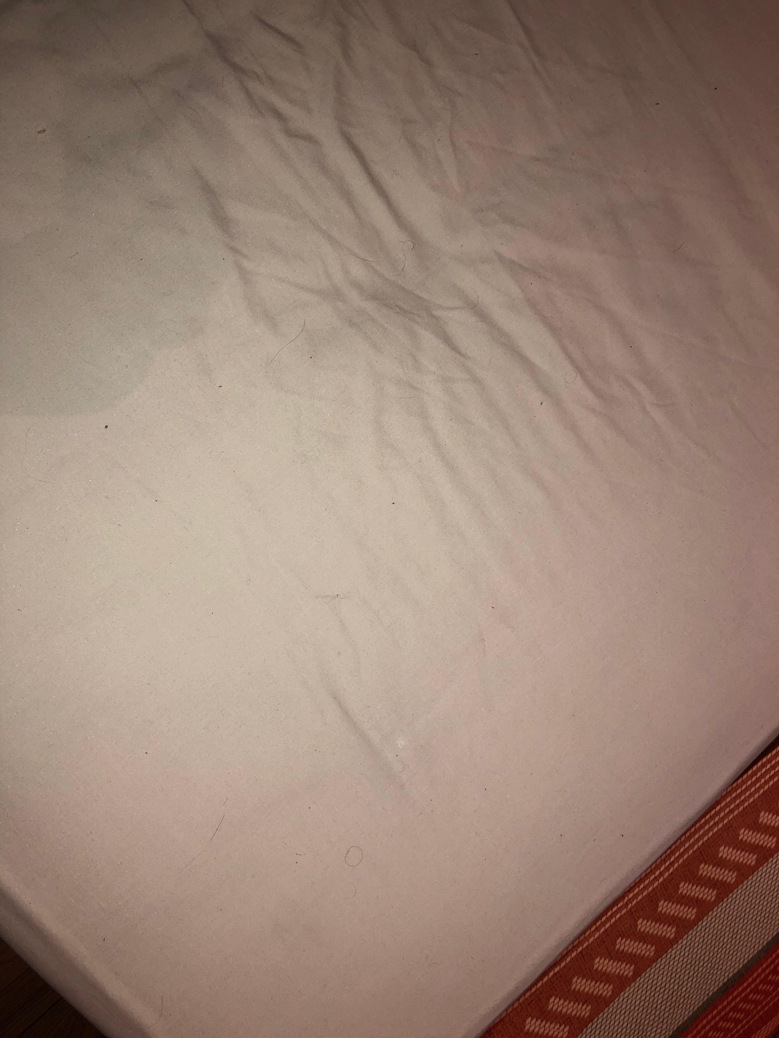 Twelfth Man Sports Bar