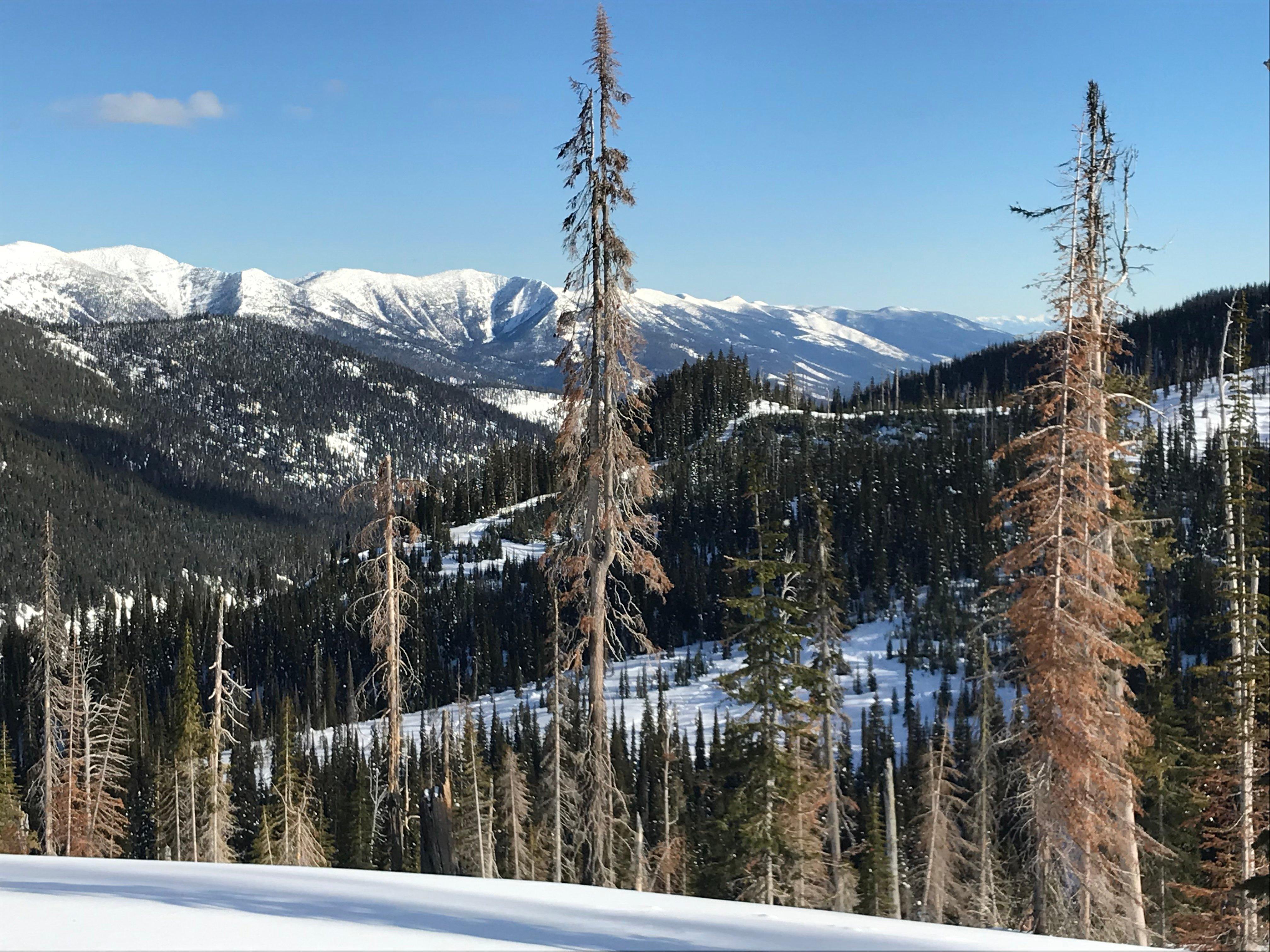 Northwest Montana Adventures