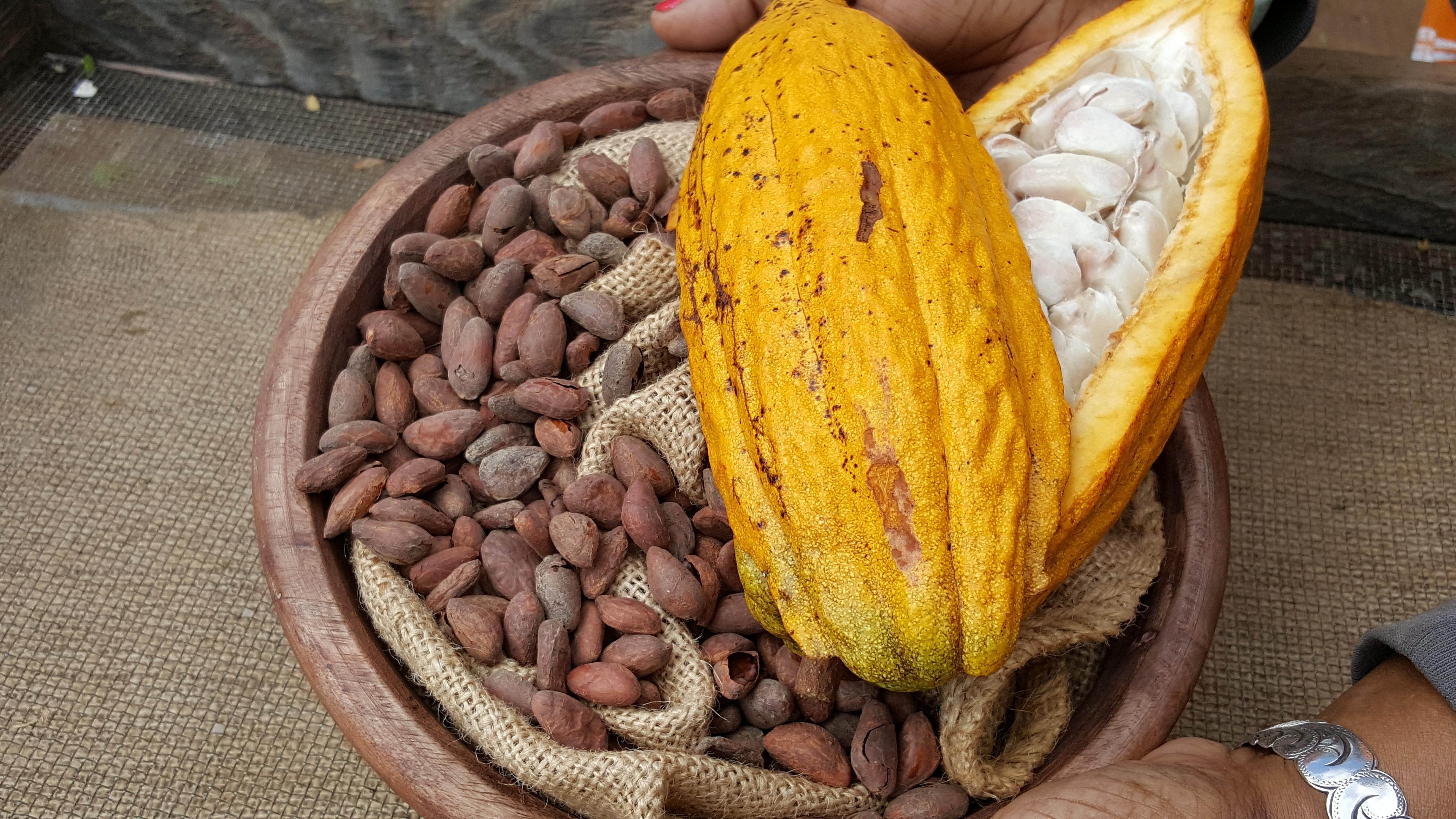 Maui Chocolate and Coffee Tours