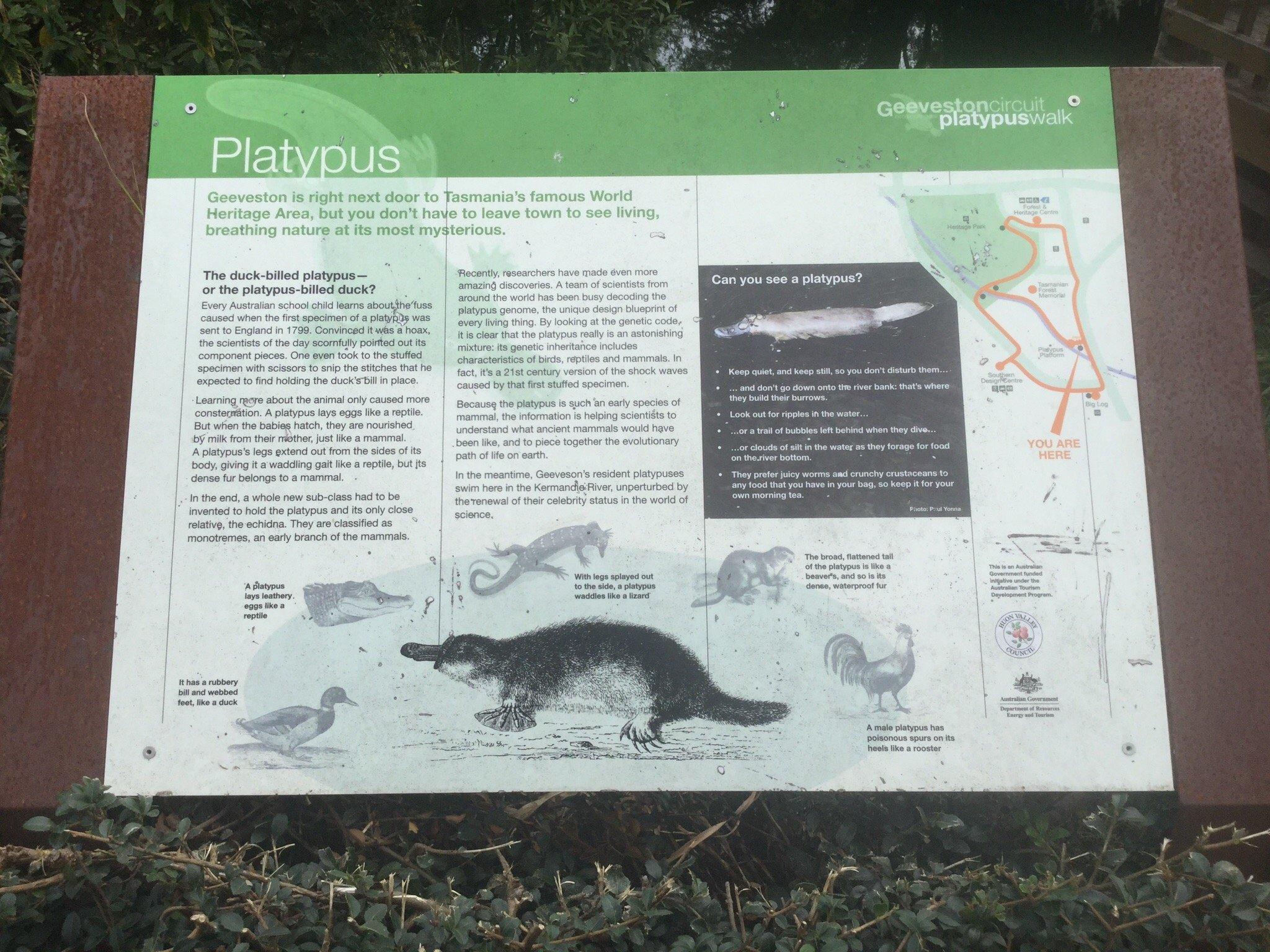 Platypus Walk