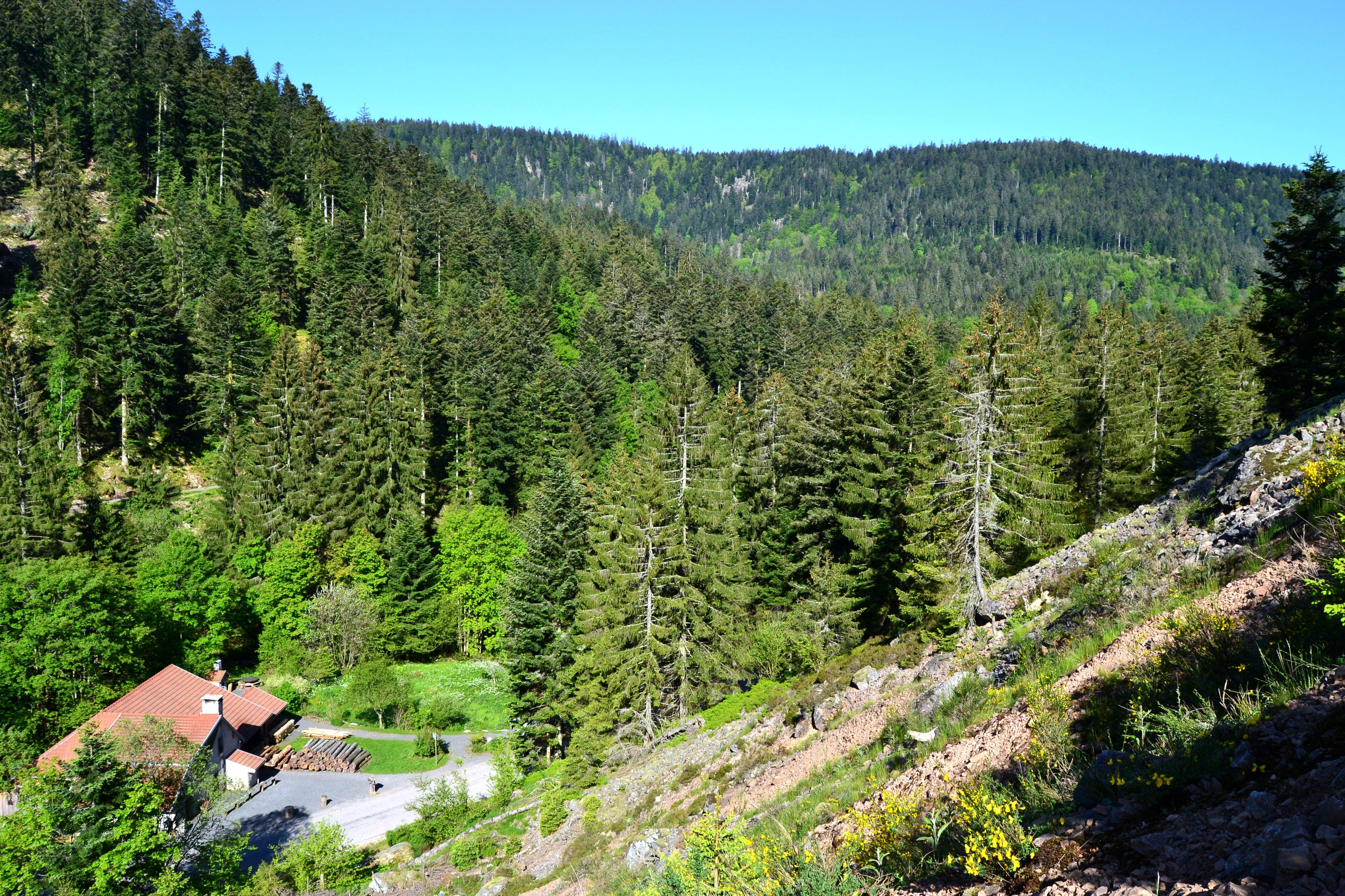 La Scierie du Lançoir
