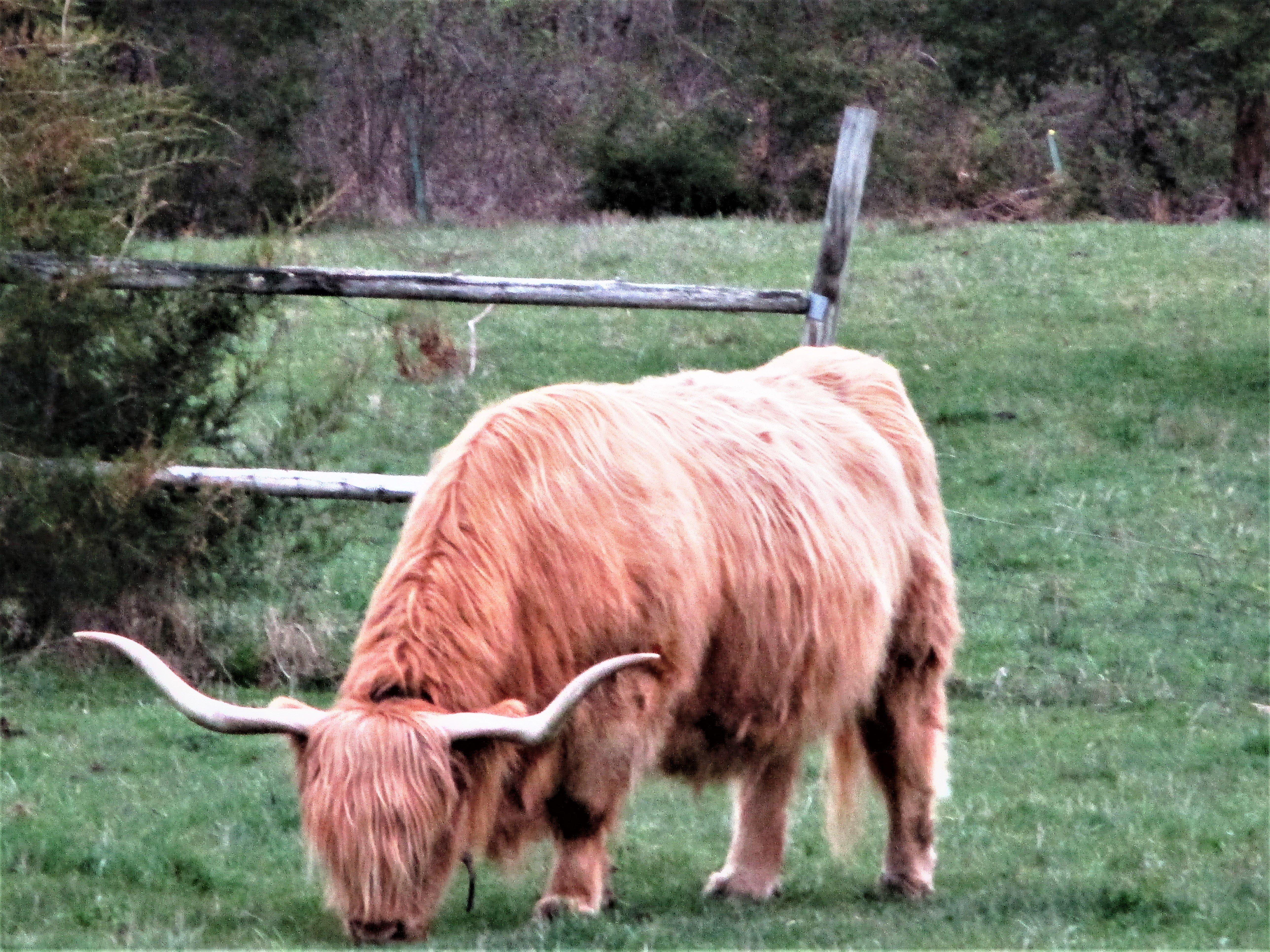 Brookfield Farm B&B
