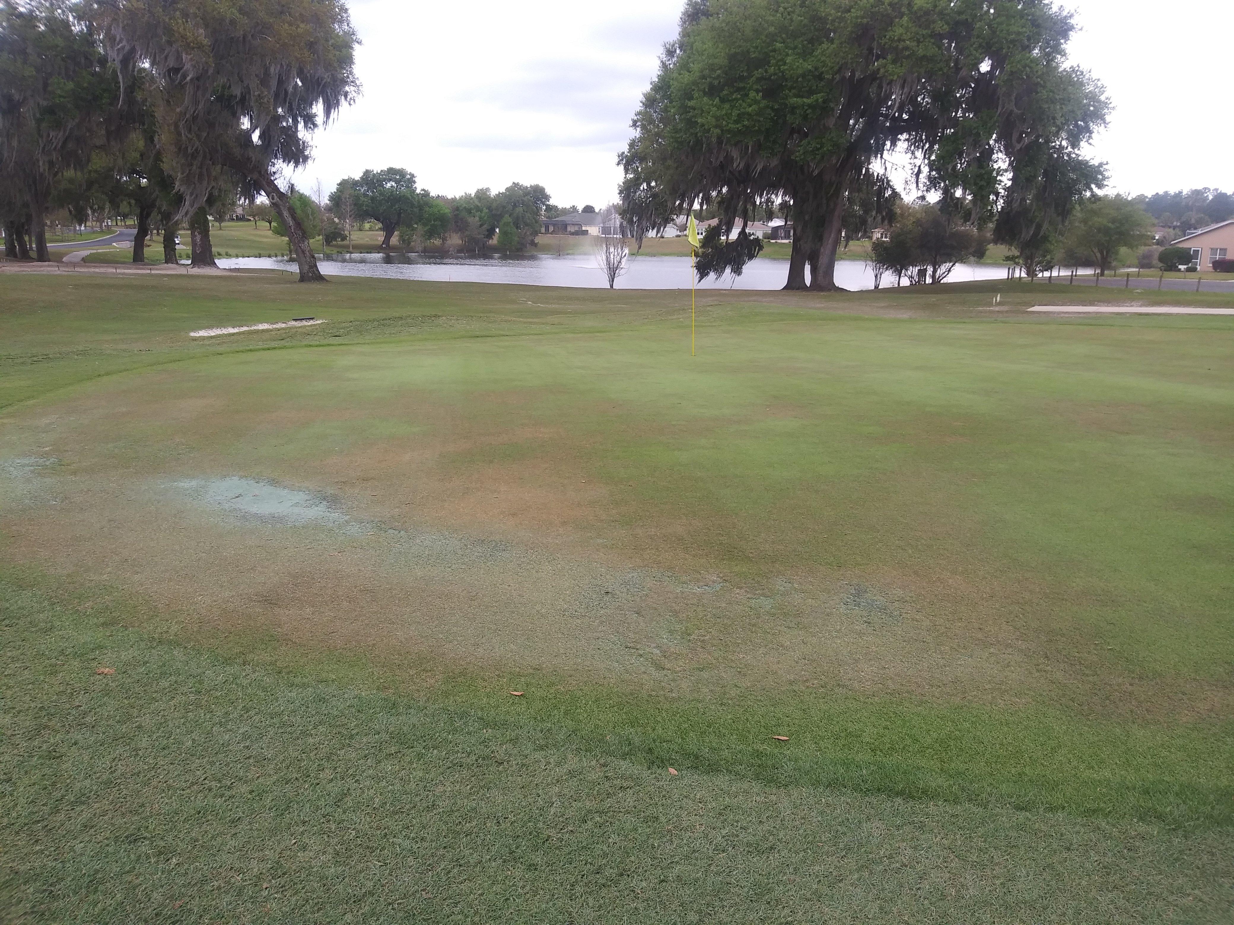 Photo by Summerglengolfnut