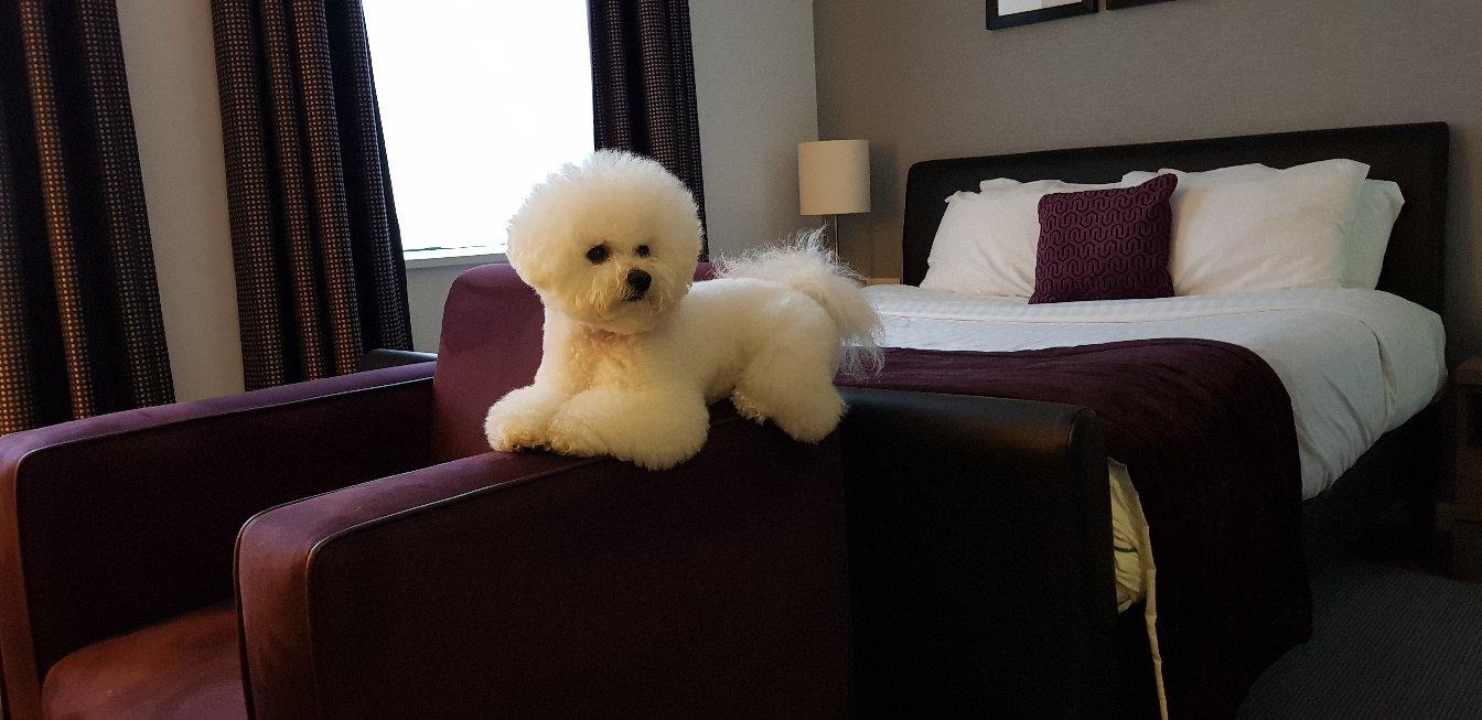 Staybridge Suites Birmingham, an IHG hotel