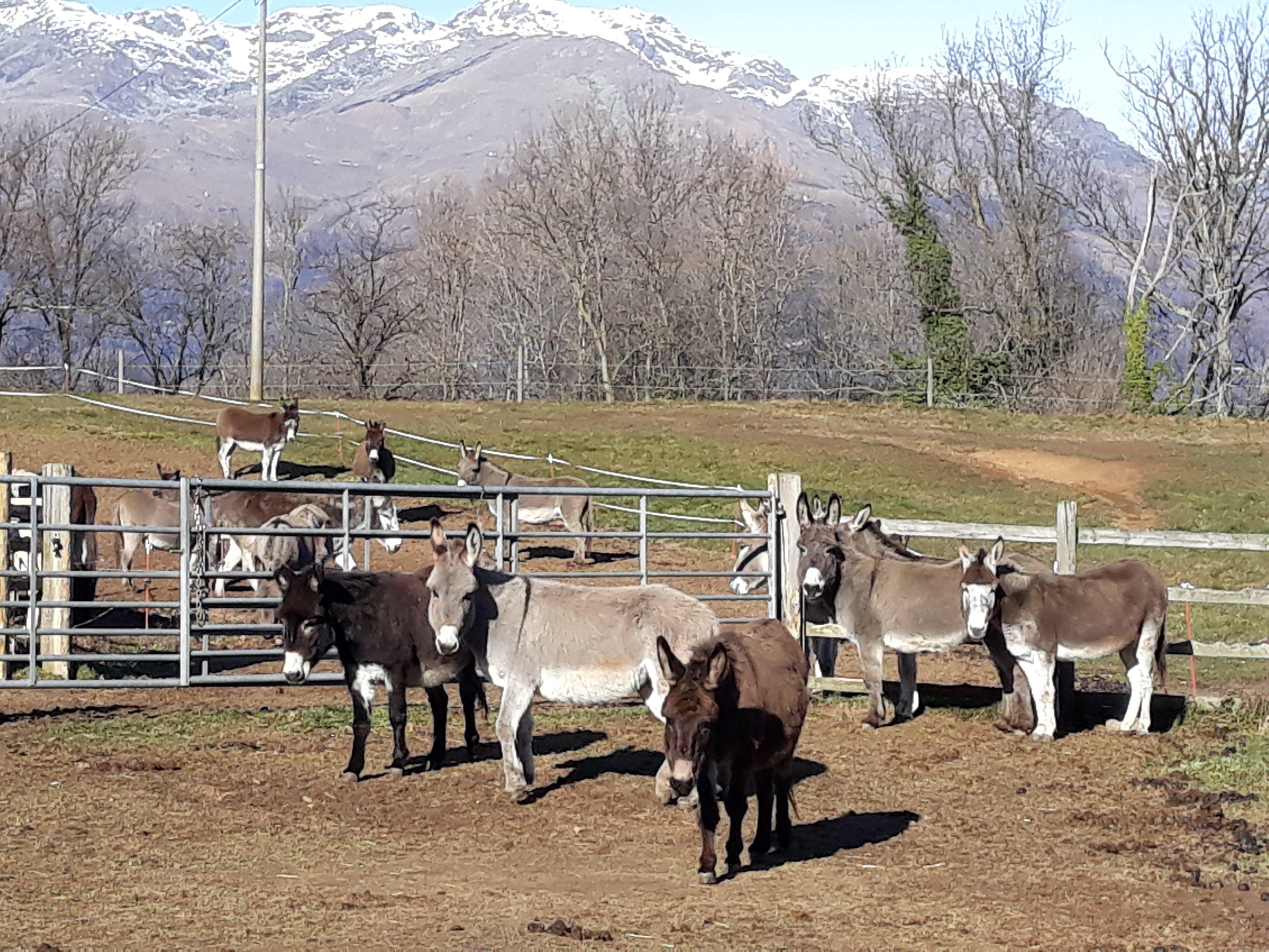 Il Rifugio degli Asinelli