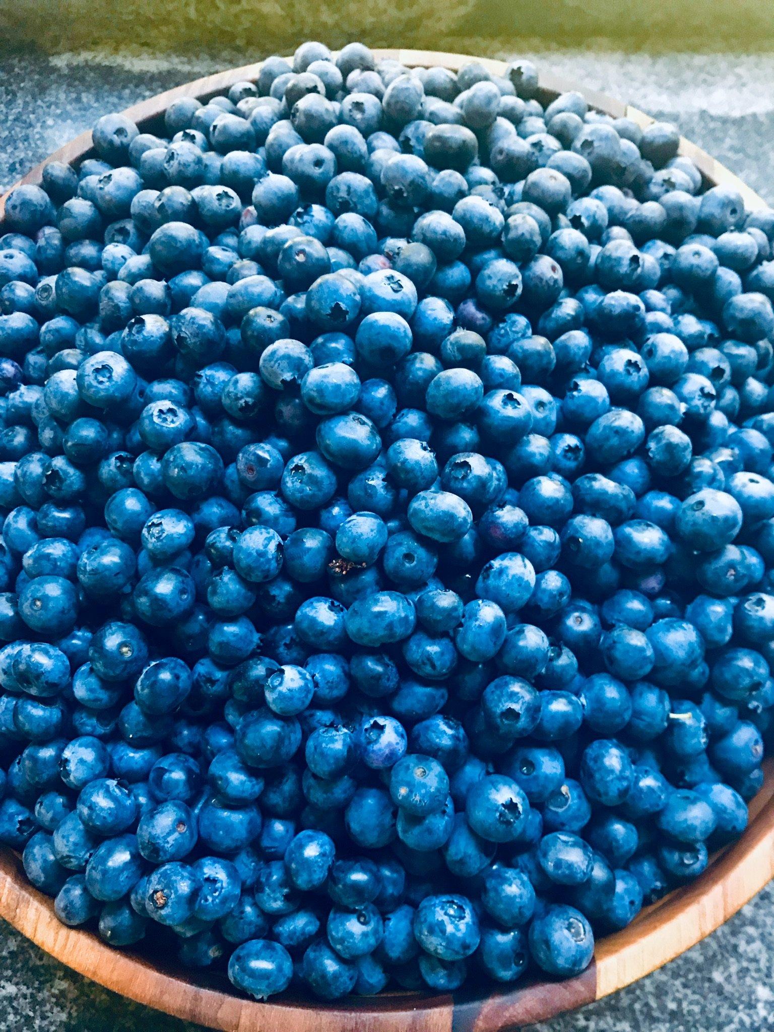 Patt's Blueberries