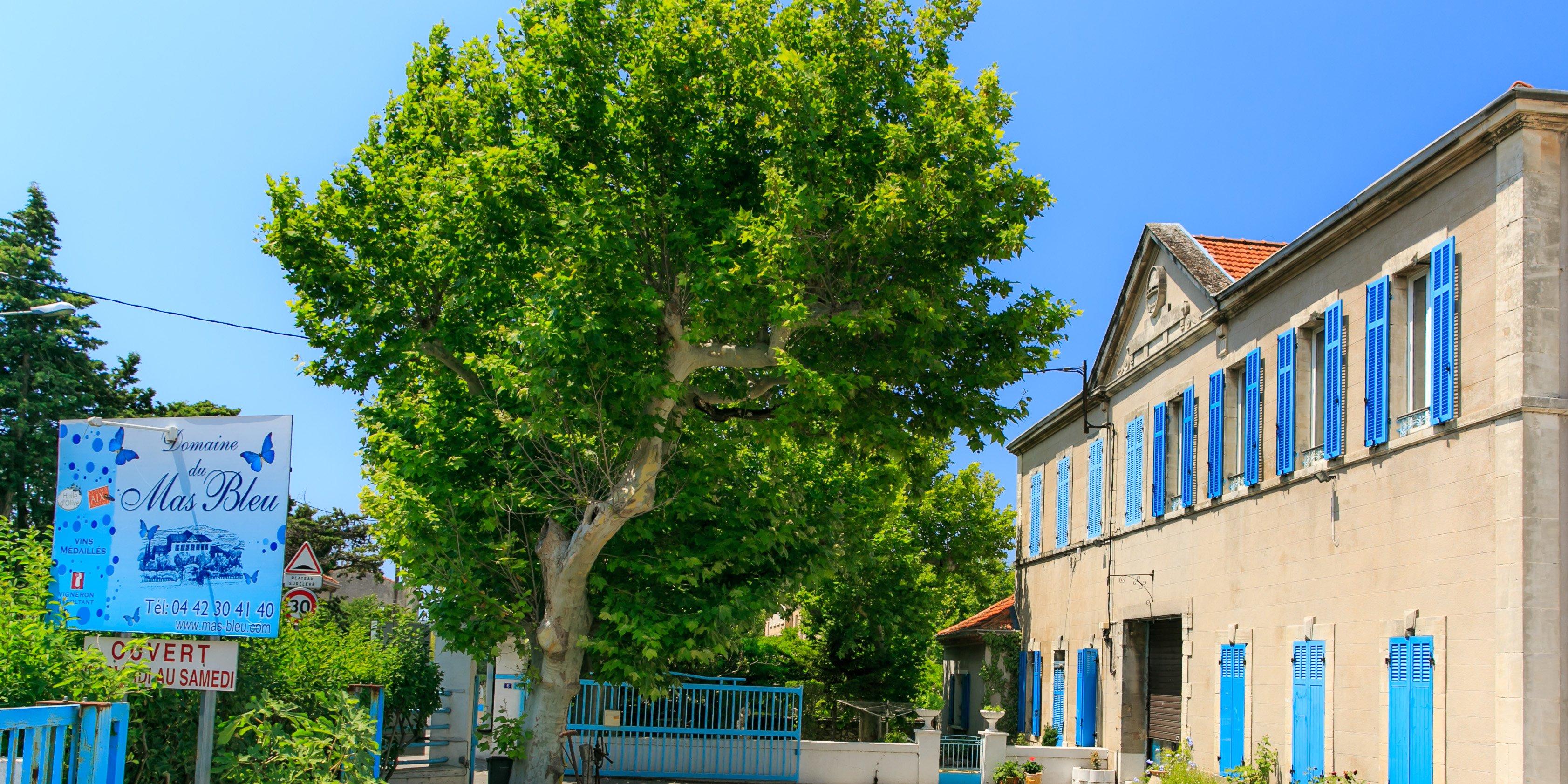 Domaine Du Mas Bleu