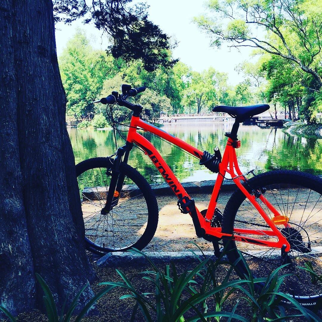 Polanco bike