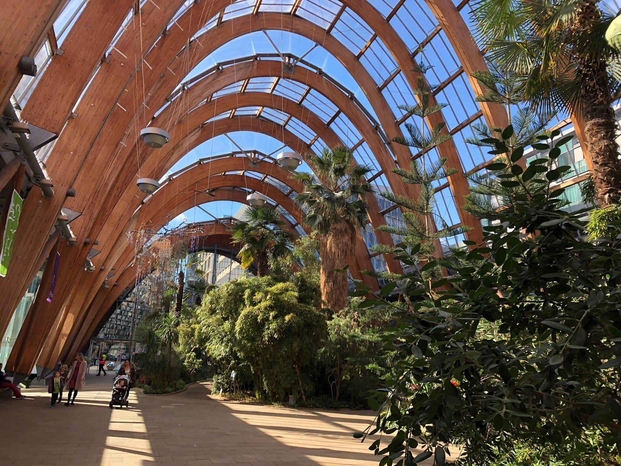 Sheffield Winter Garden