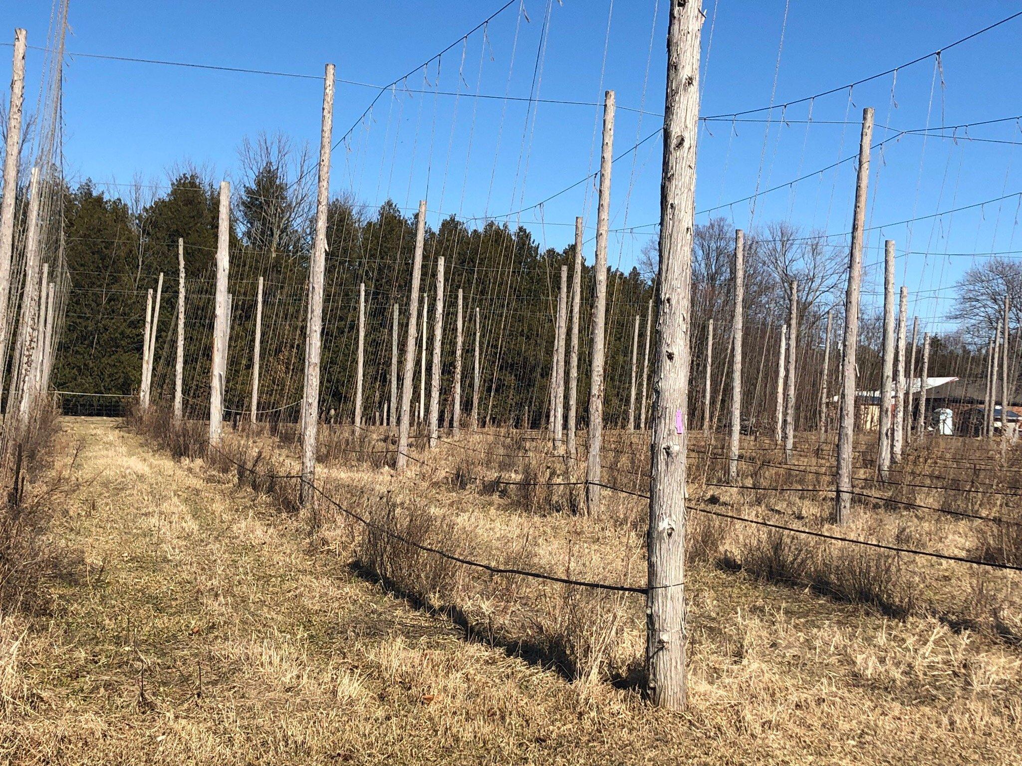 River Road Brewing and Hops