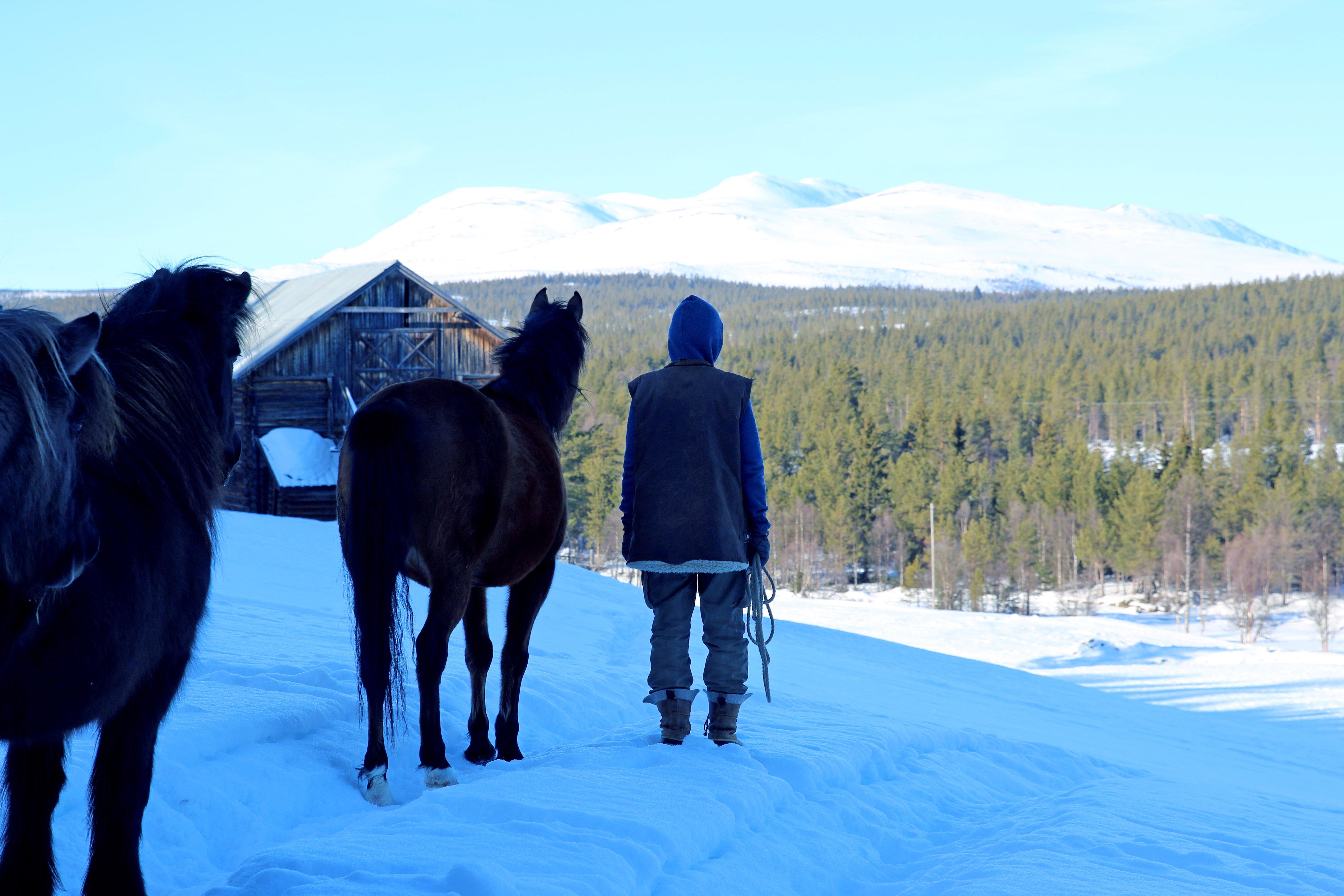 Dreamvalley Art Farm