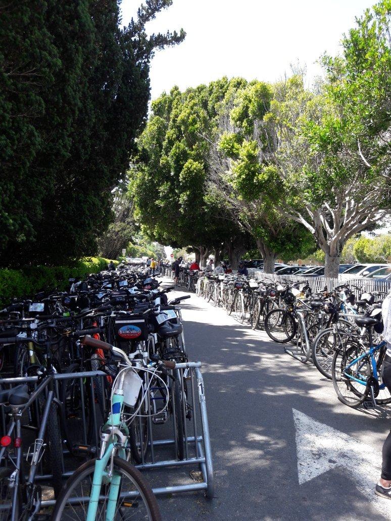 Sausalito Bike Return