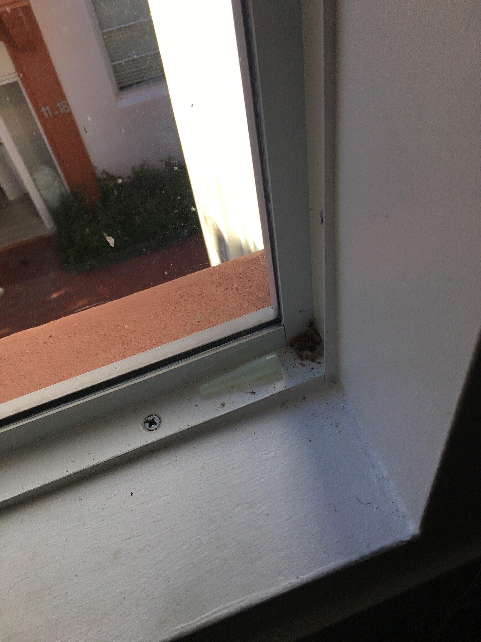 Drexel Suites South Beach