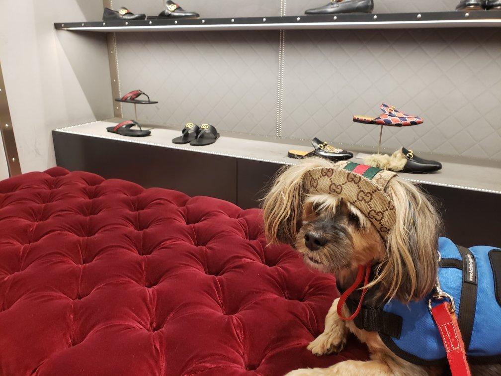 Photo by tammyhtherealtor