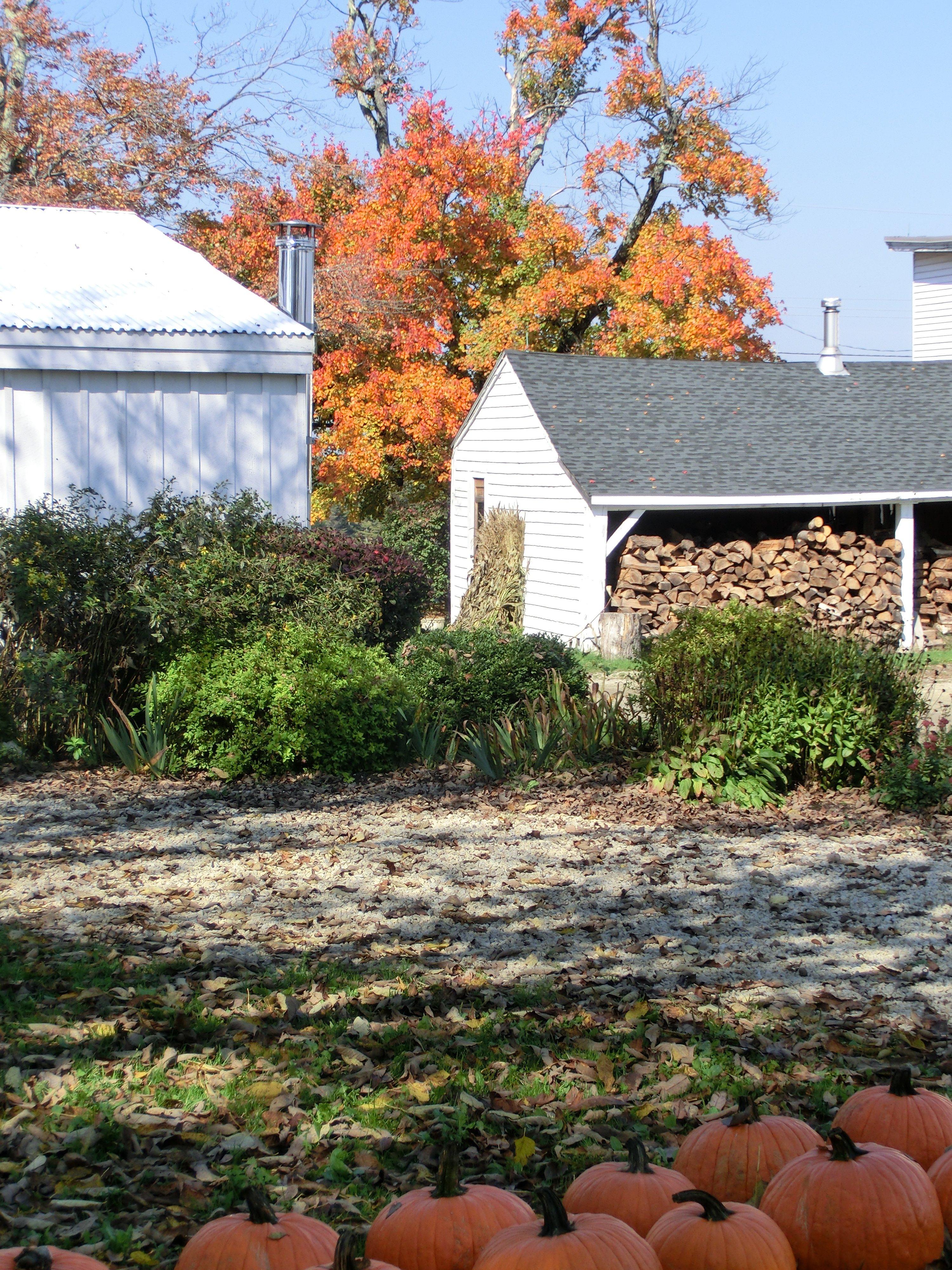 Photo by NHWanderlust