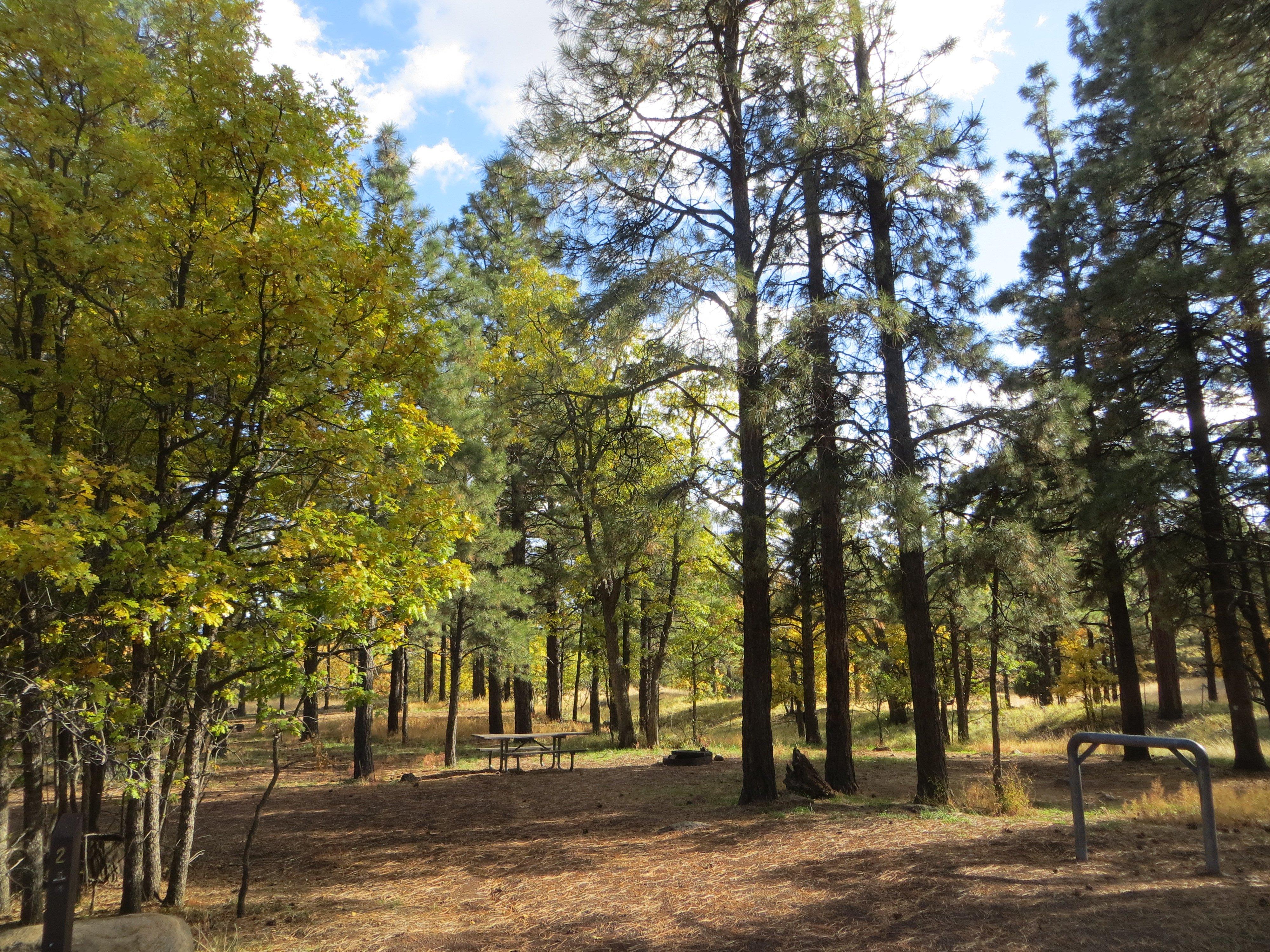 Little Elden Springs Campground