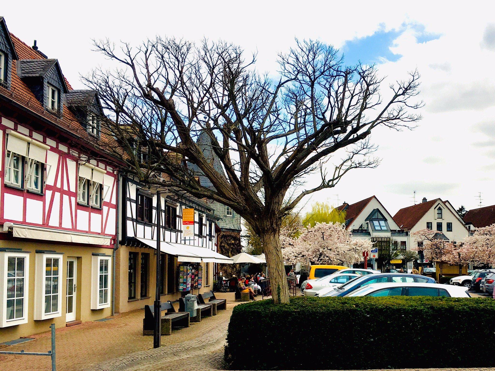 Hofheimer Wochenmarkt