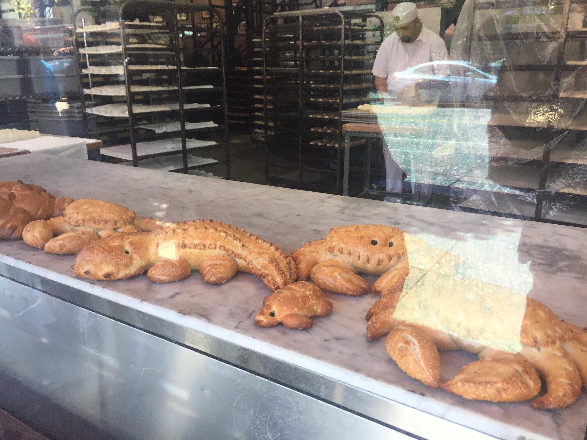 Photo by madalin_constantin_p