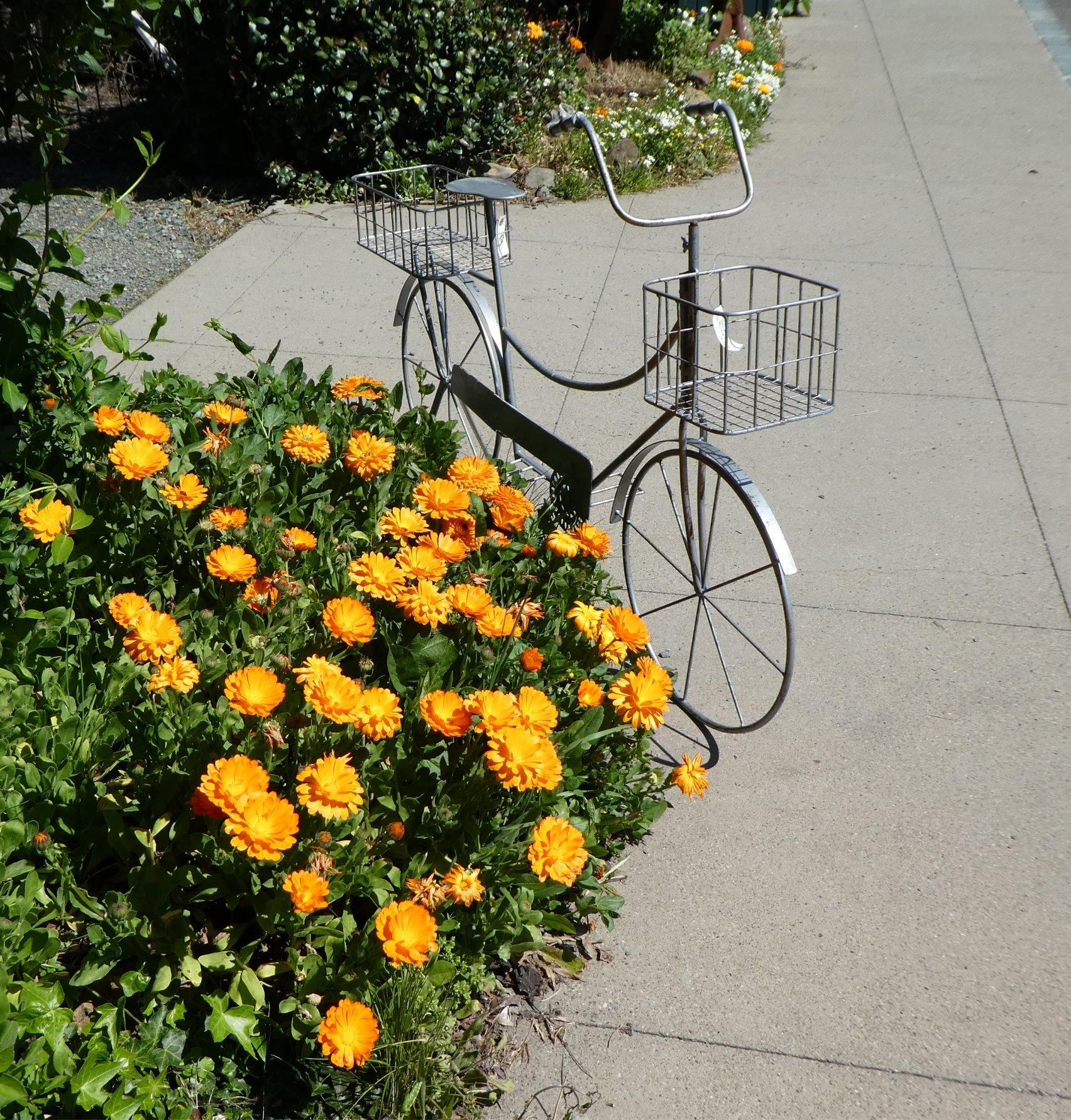 Bellflower Home & Garden