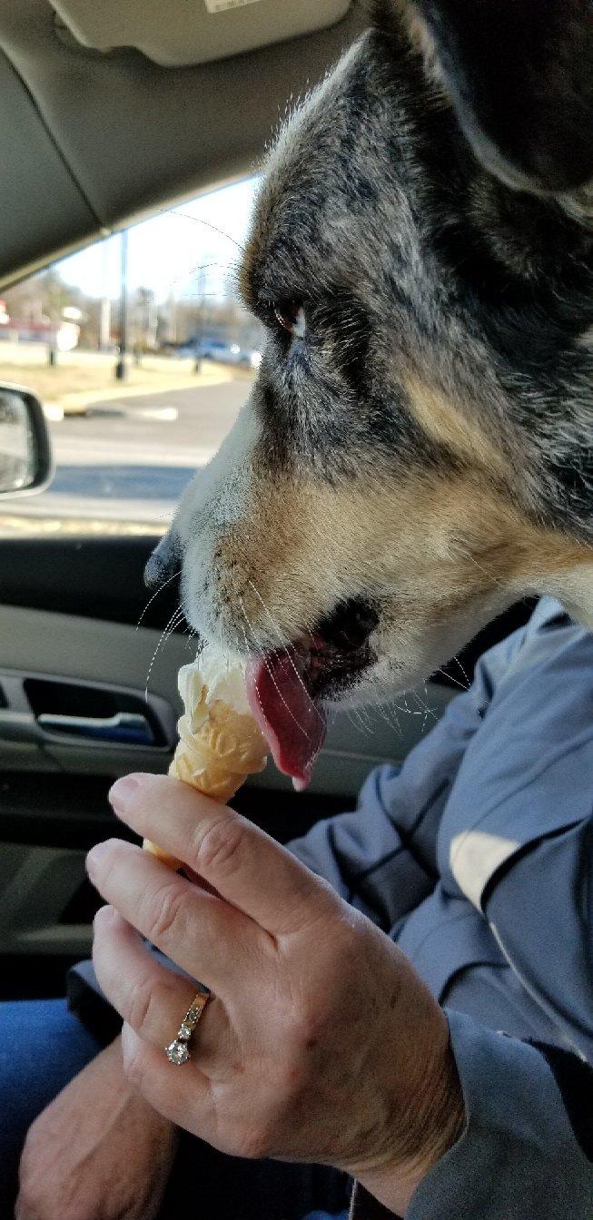 Andy's Frozen Custard
