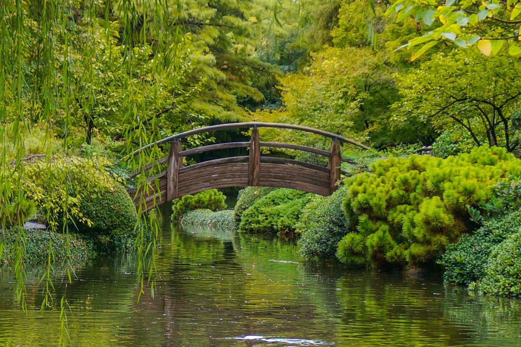 Fort Worth Japanese Garden