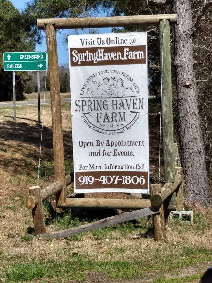 Spring Haven Farm