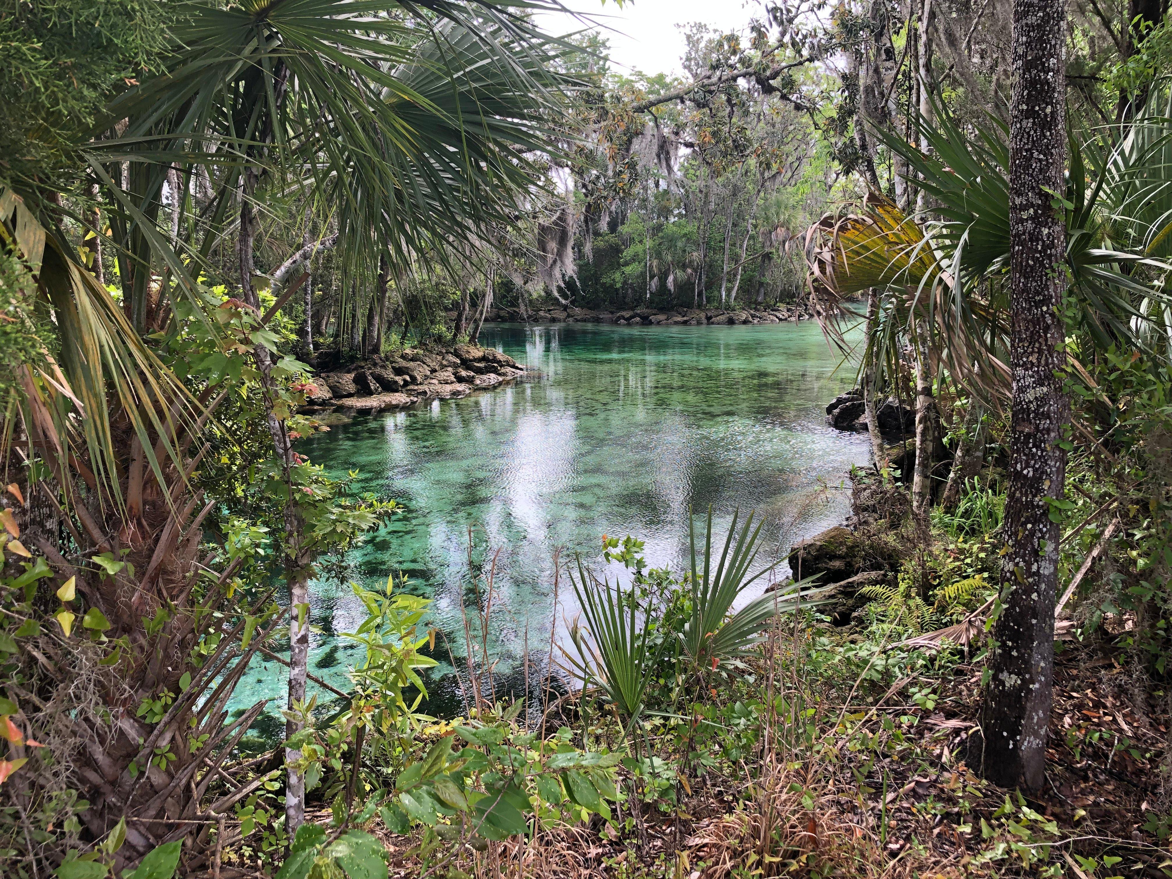 Three Sisters Springs
