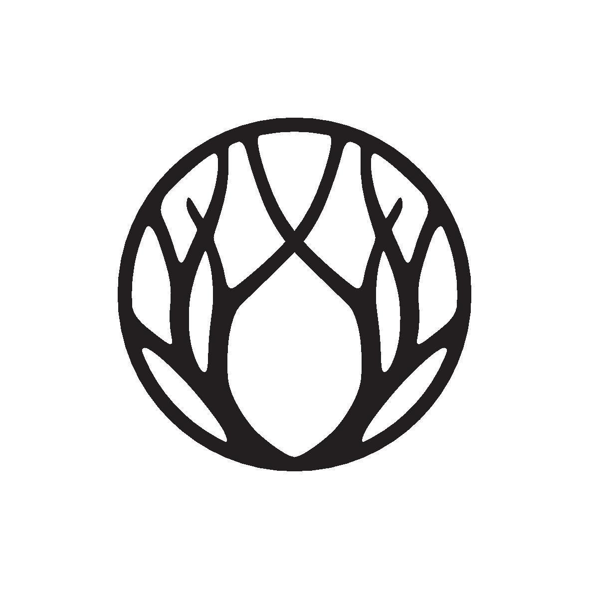 Dark Hedges Experience