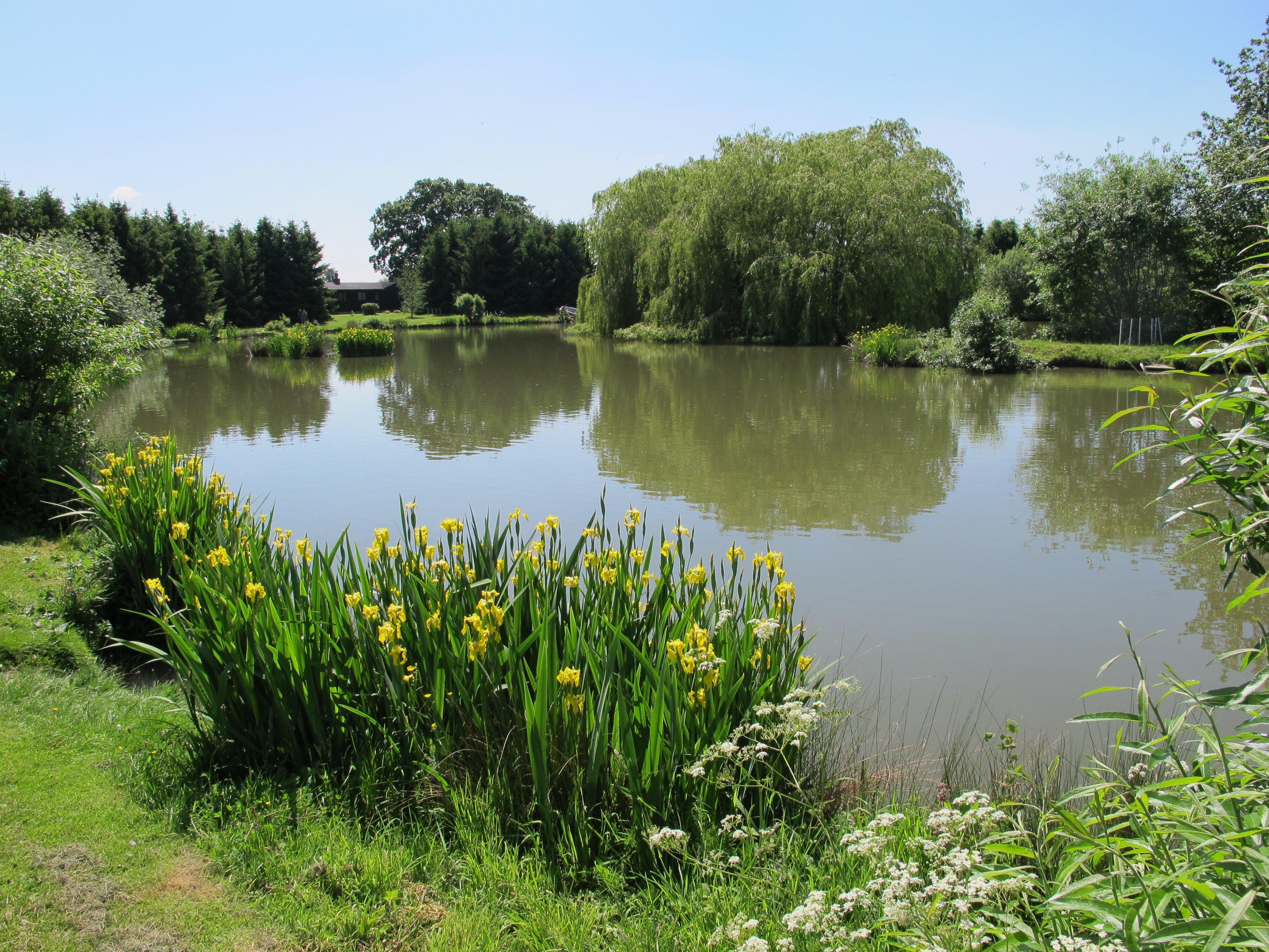 Westerly Lake Fishing and Caravan Park