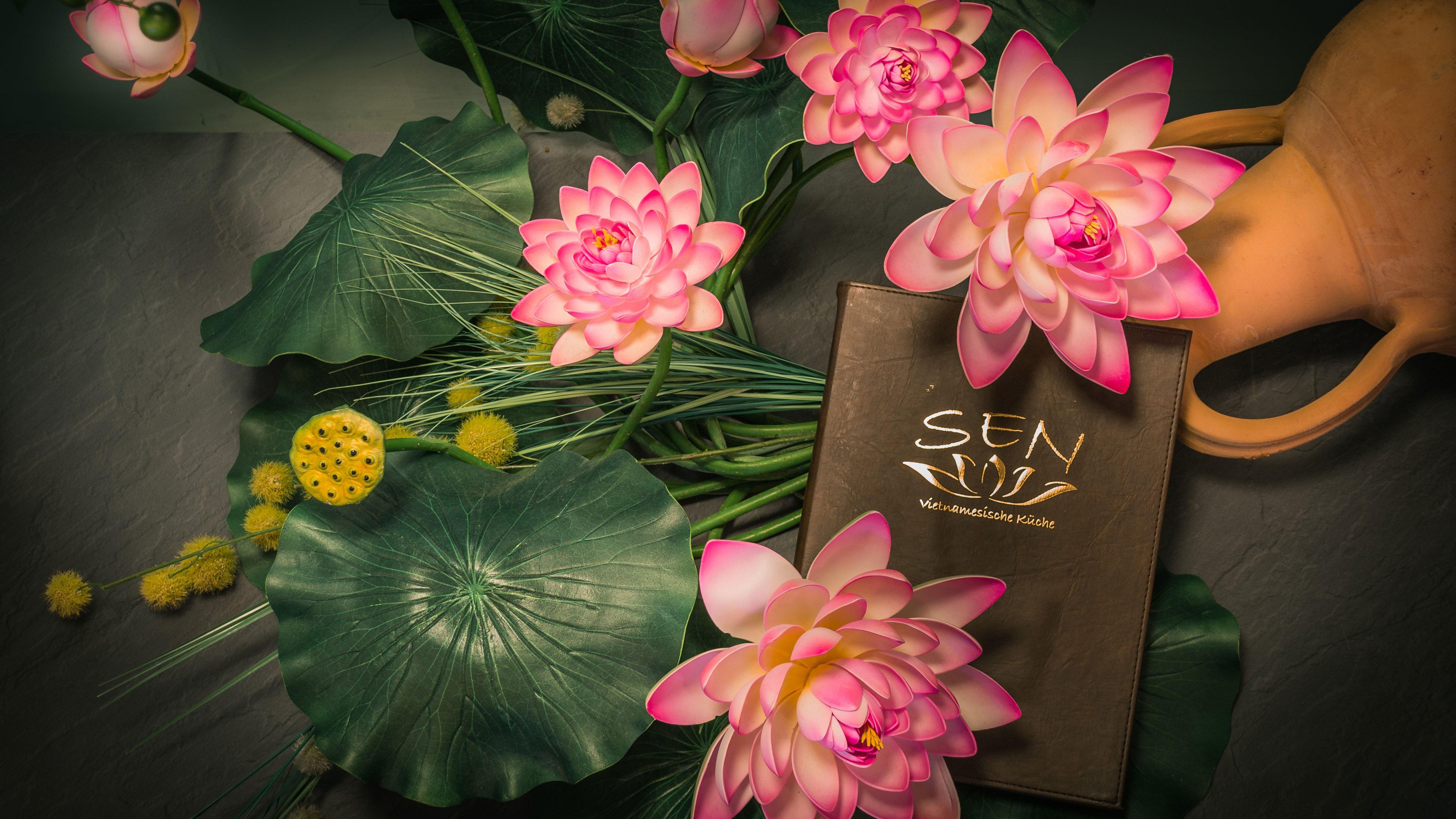 Sen Vietnamesische Küche