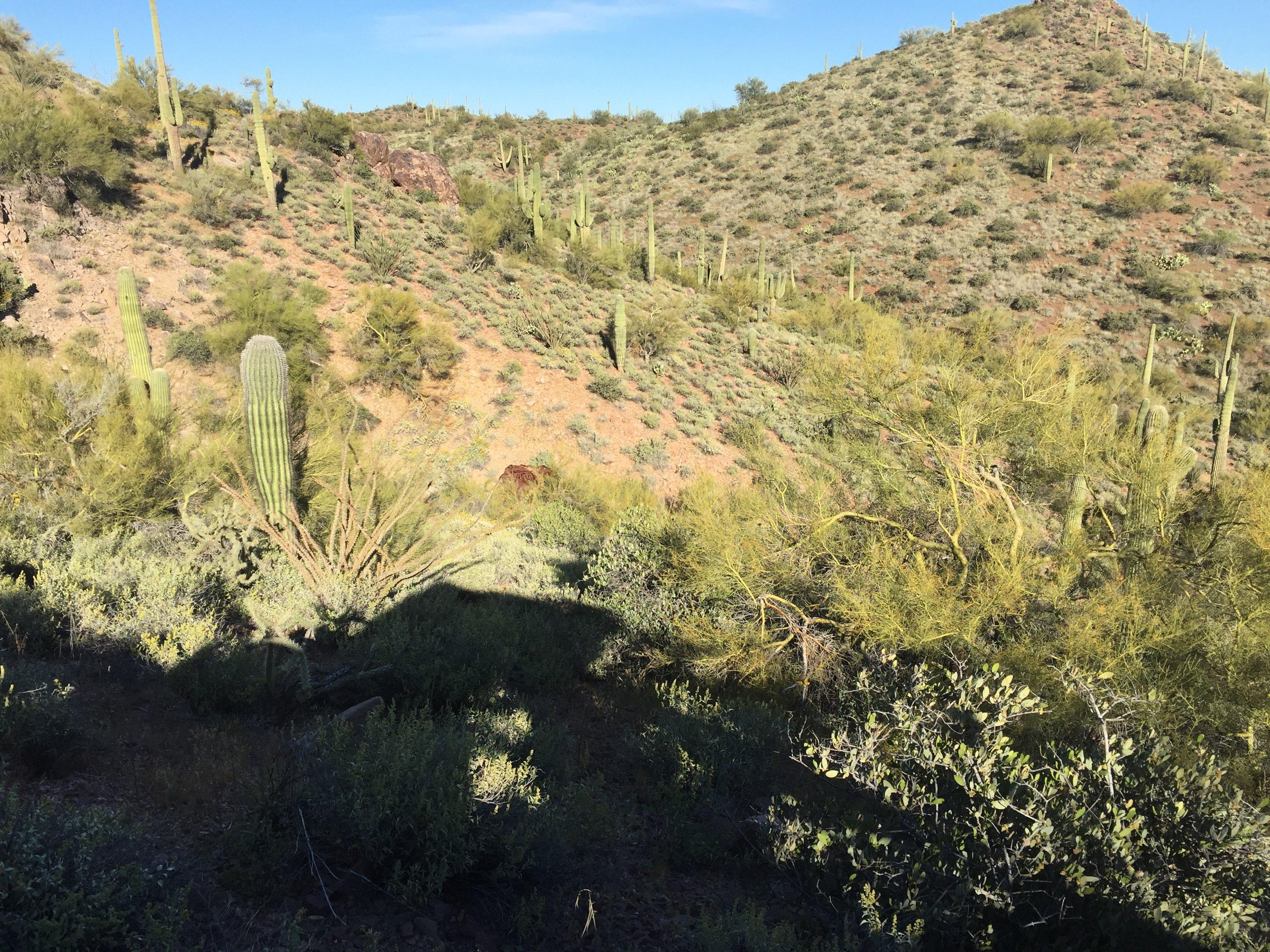 Happy Trails Adventure Company of Arizona