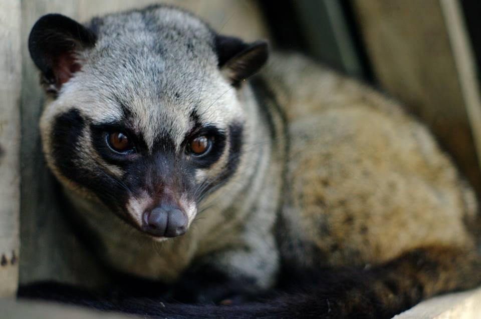 Bugtopia Hornsea Zoo