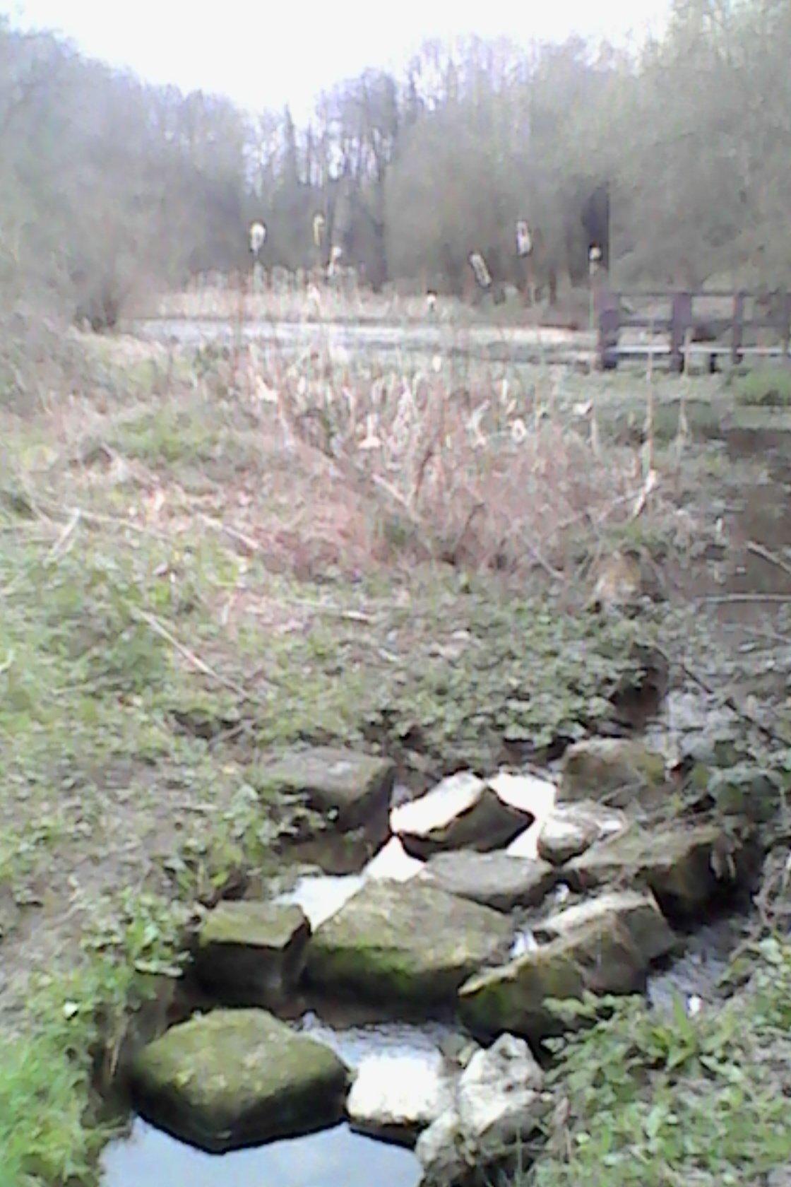 Red River Local Nature Reserve