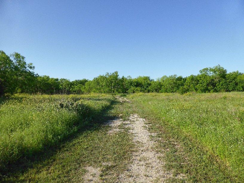 Medina River Natural Area