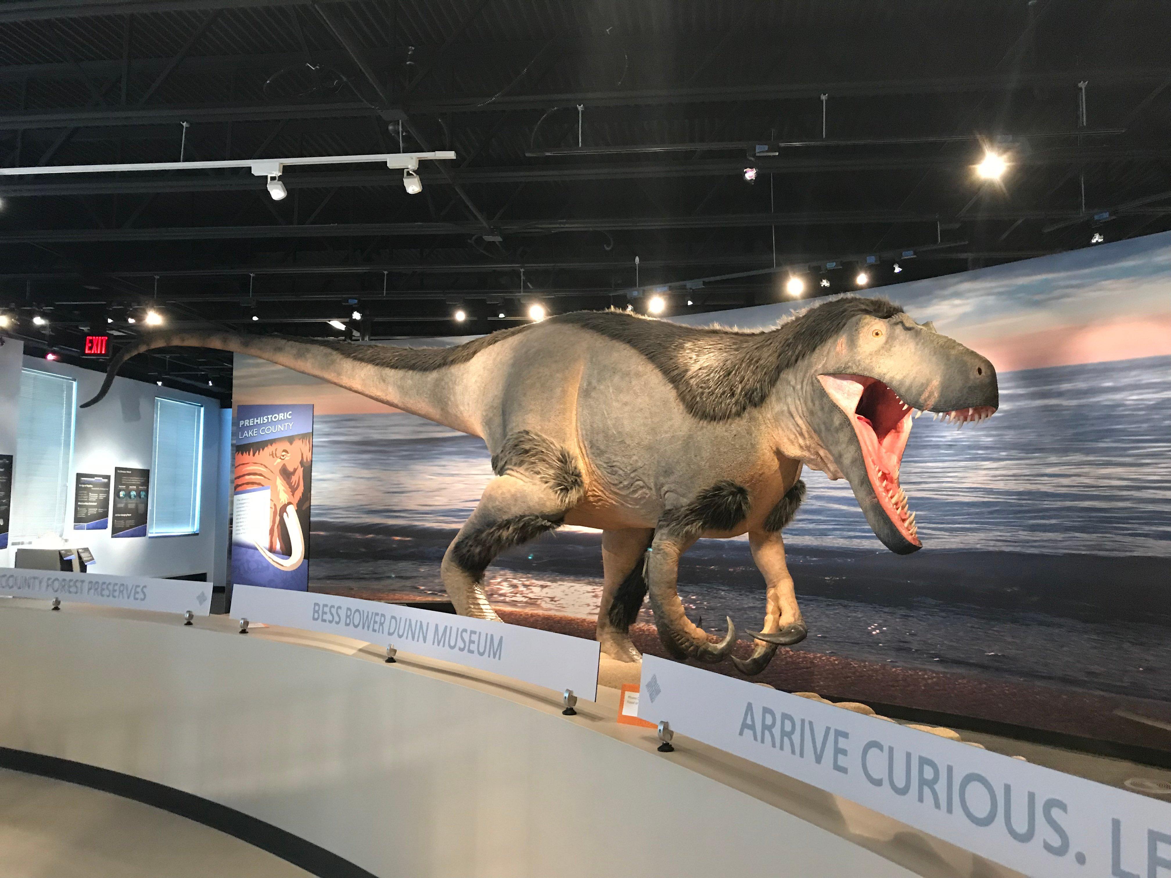 Photo by SuBanKolkata