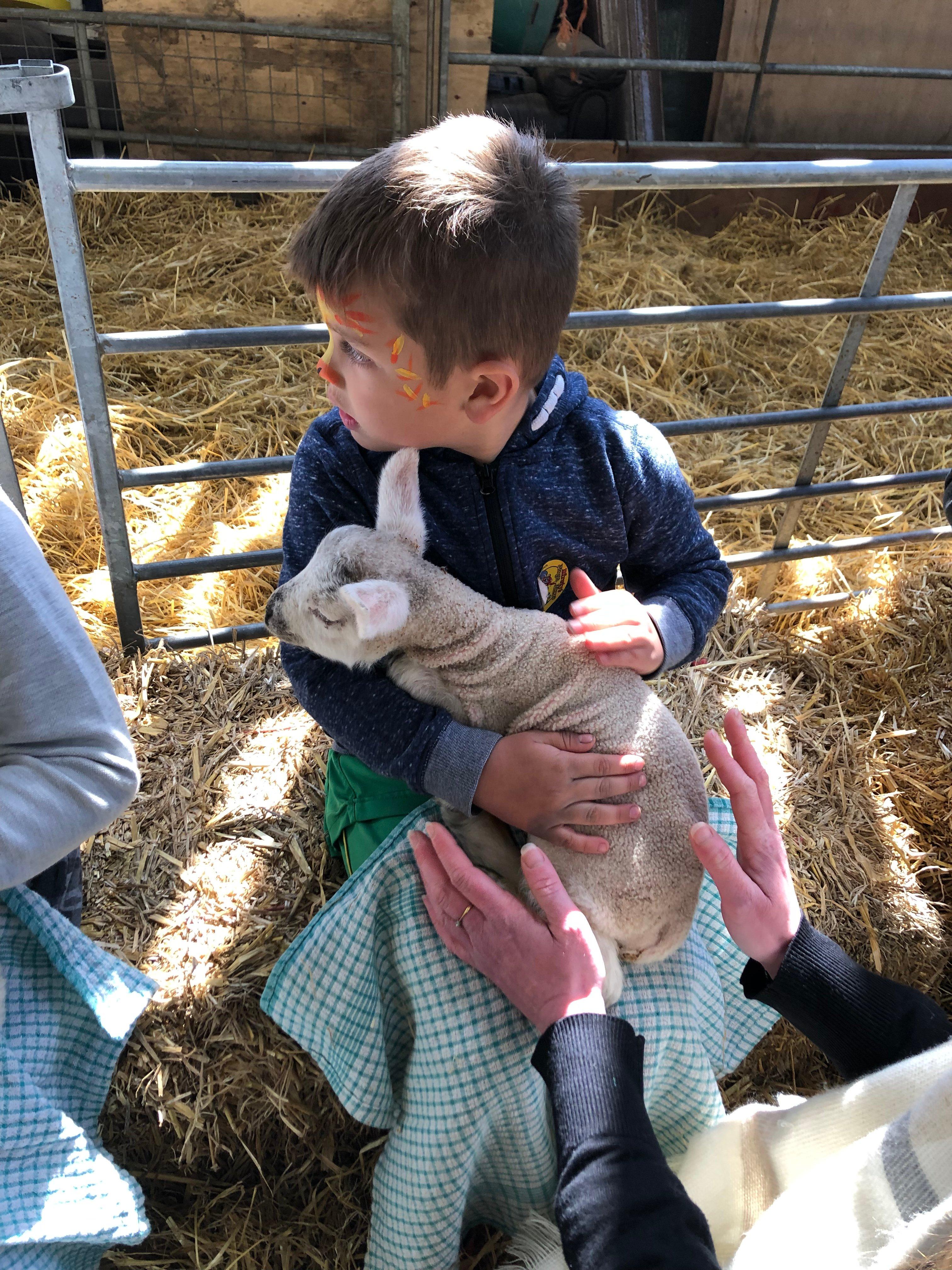 Hirsty's Family Fun Park