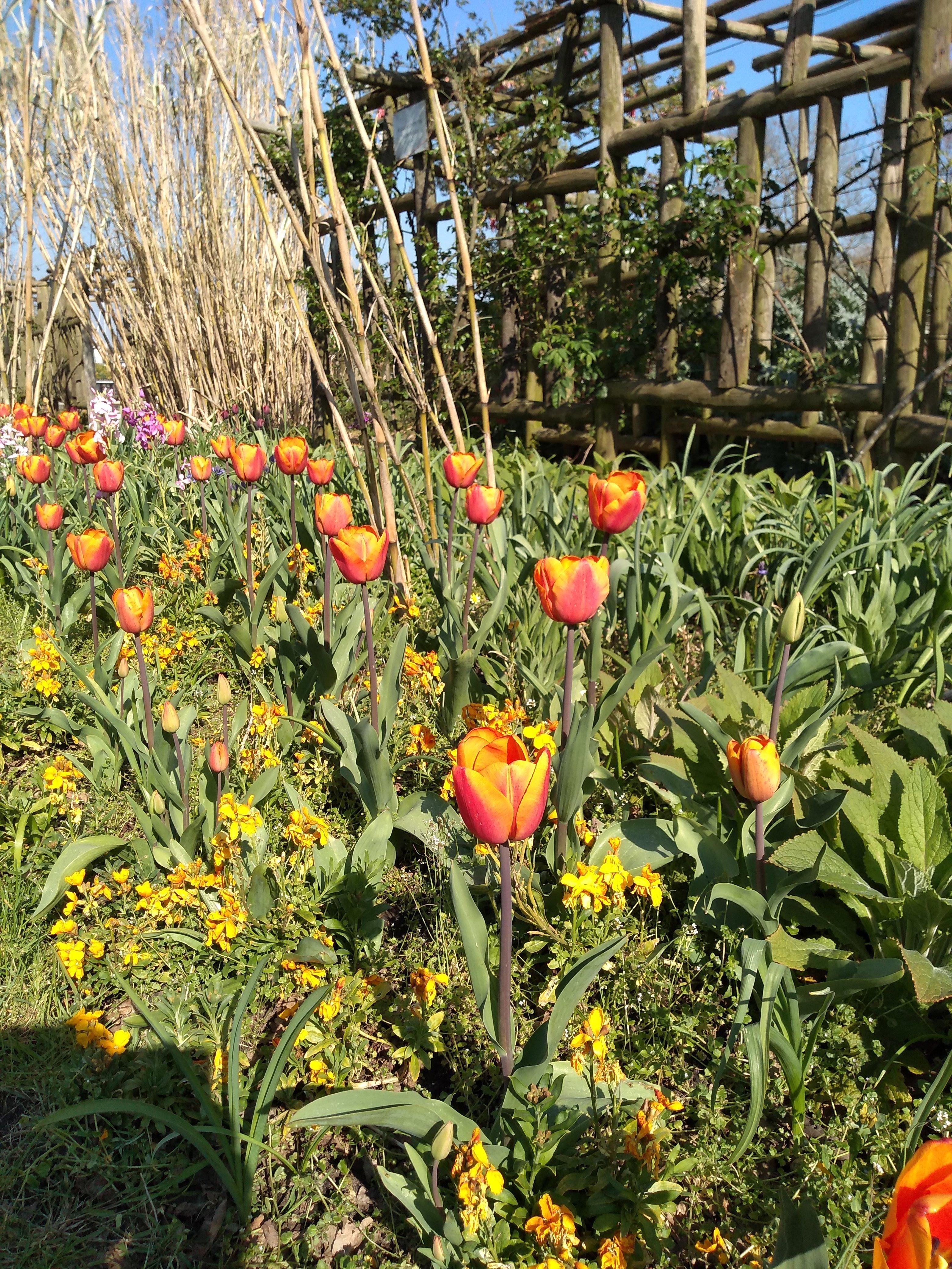 Kingfisher Barn Visitor Centre