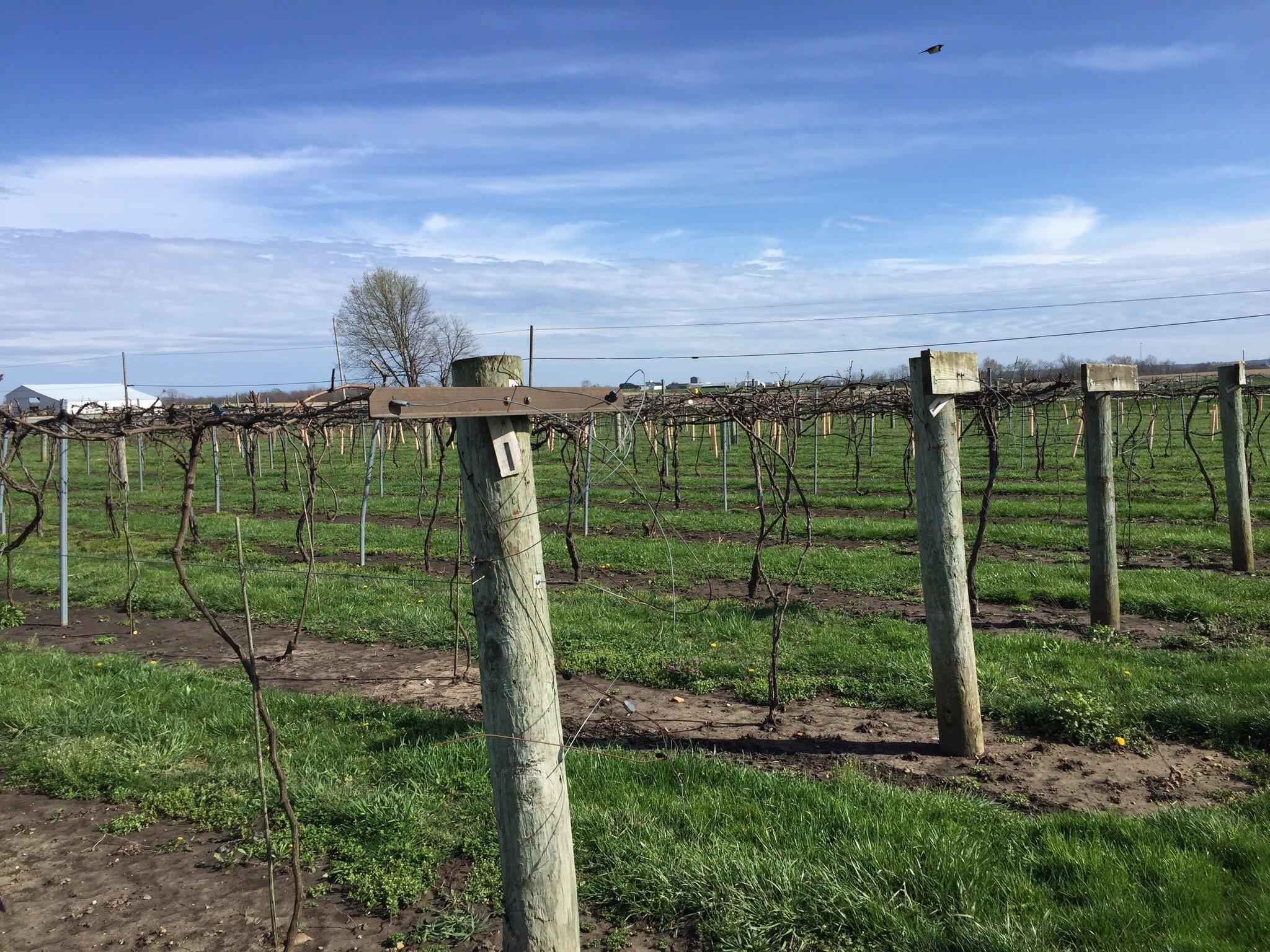 Photo by Sookibear14