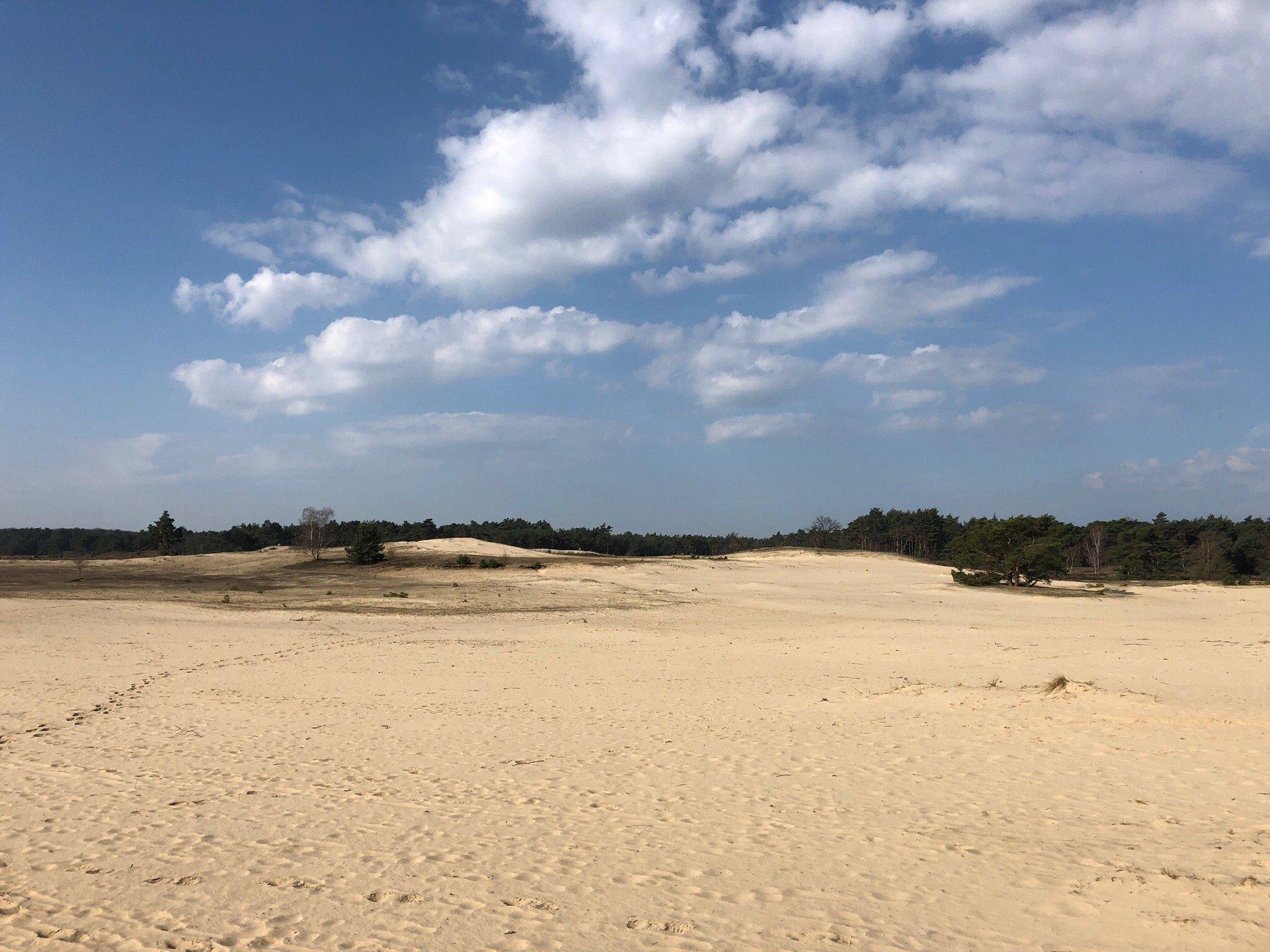 Oerrr op het Mosselse Zand