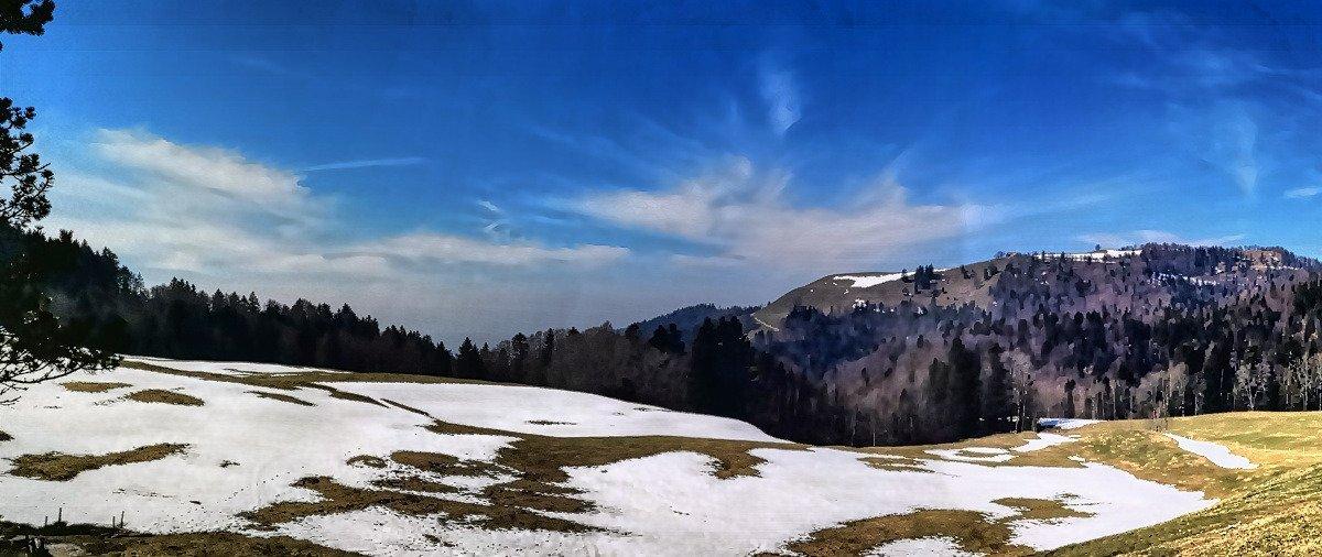 Bergrestaurant Poo - Alp