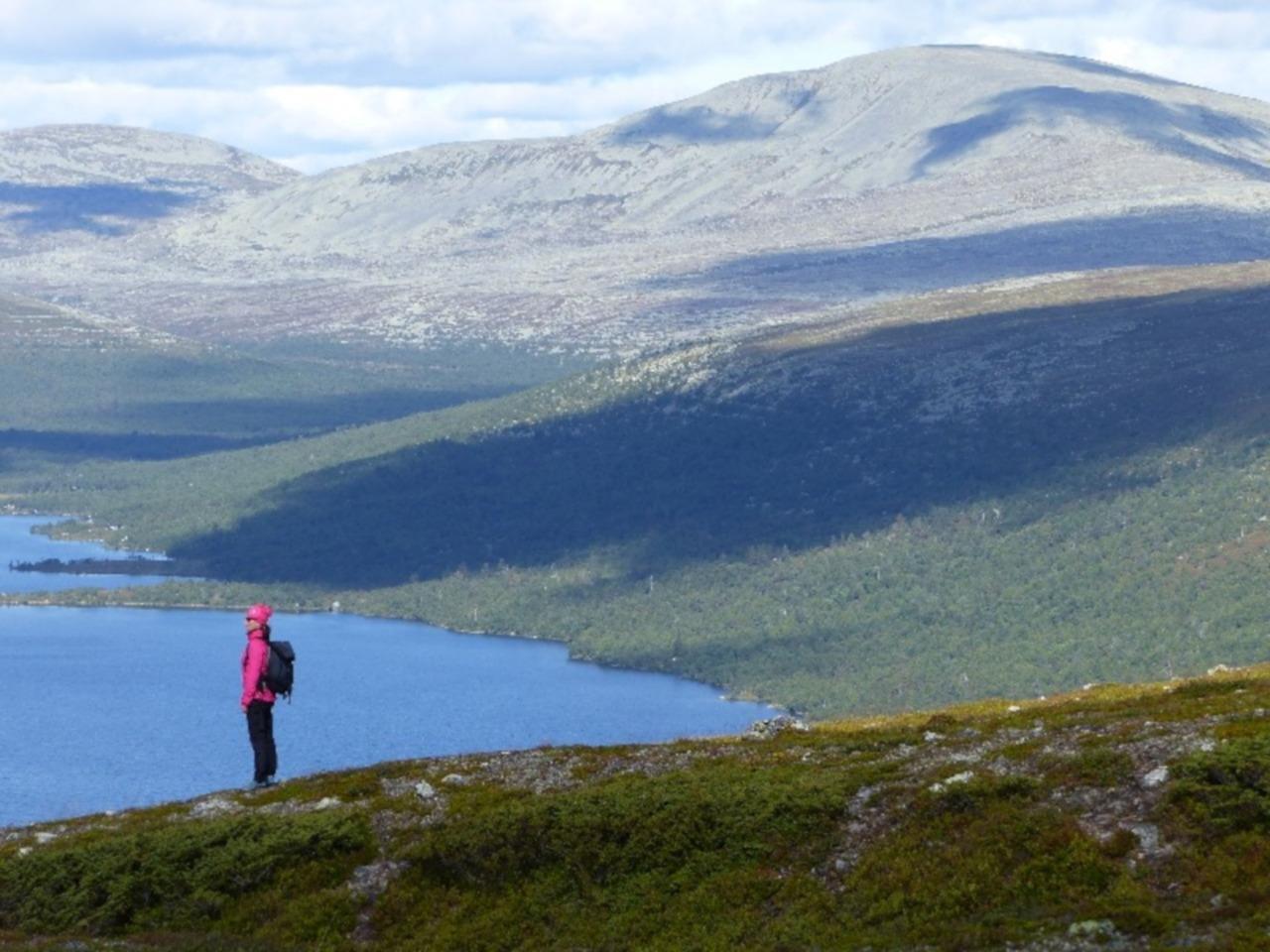 Experience Grövelsjön