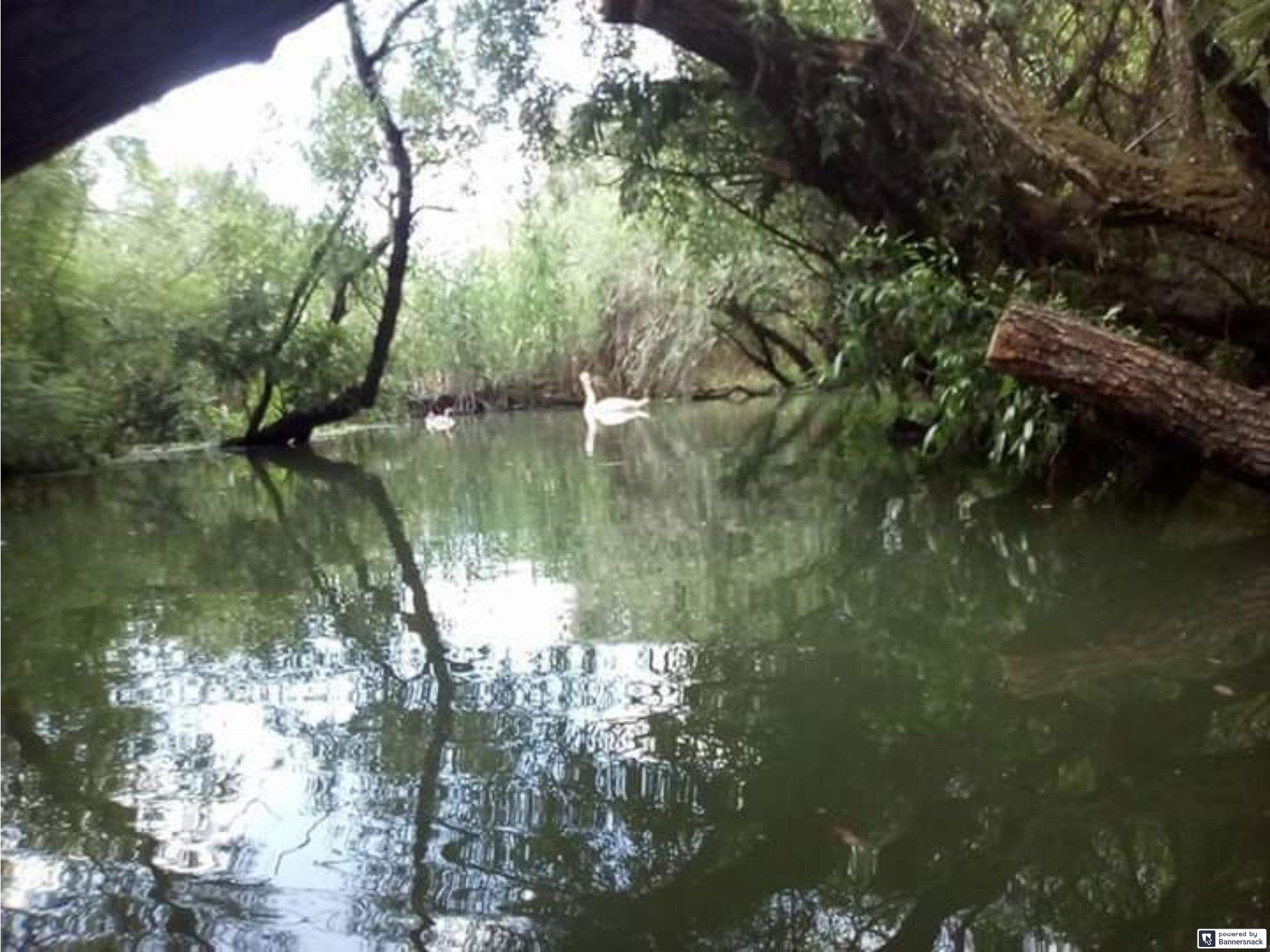 SNOW Water Tour booking