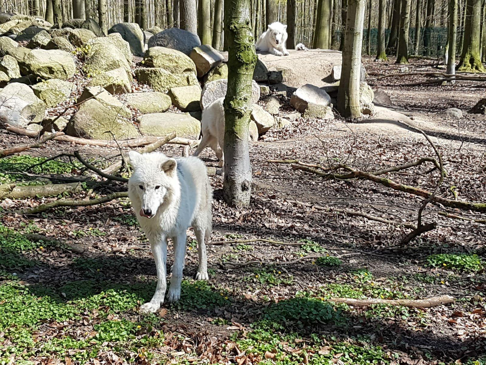 Tierpark Stralsund