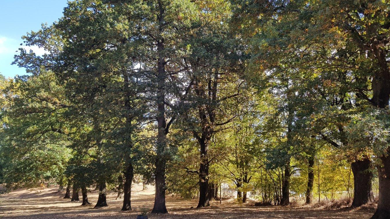 Kyneton Community Park