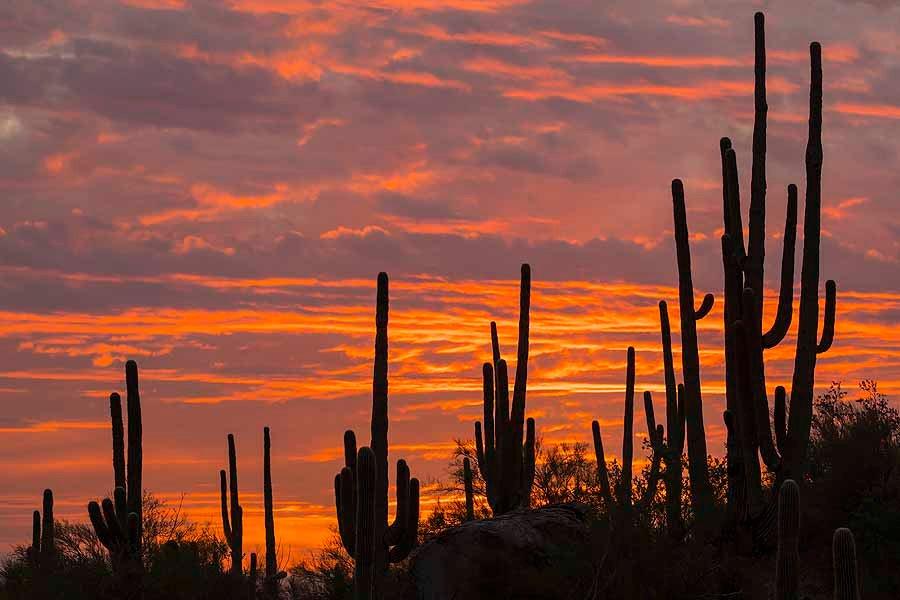 Desert Photo Retreat