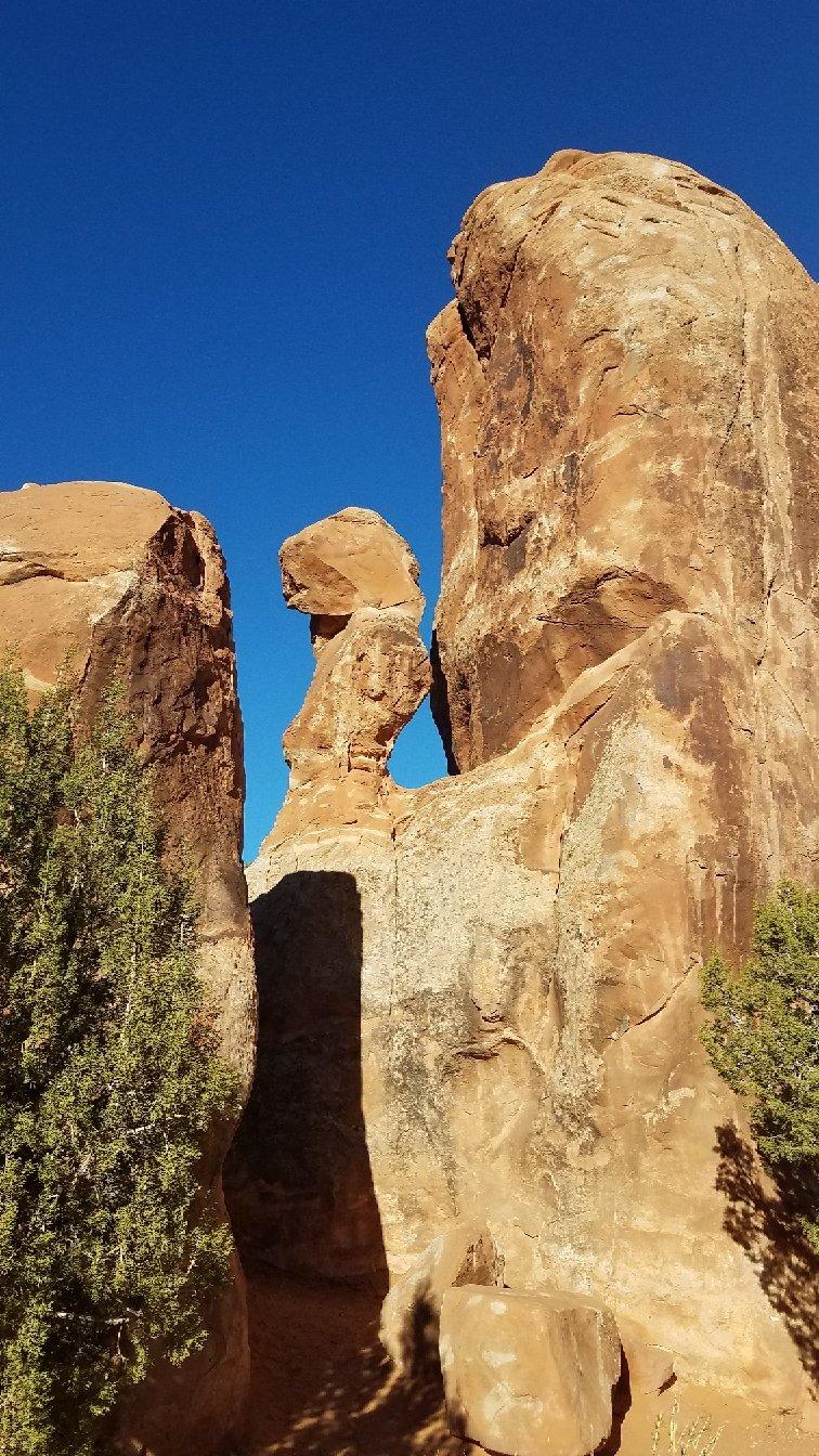 Photo by 1RealReview