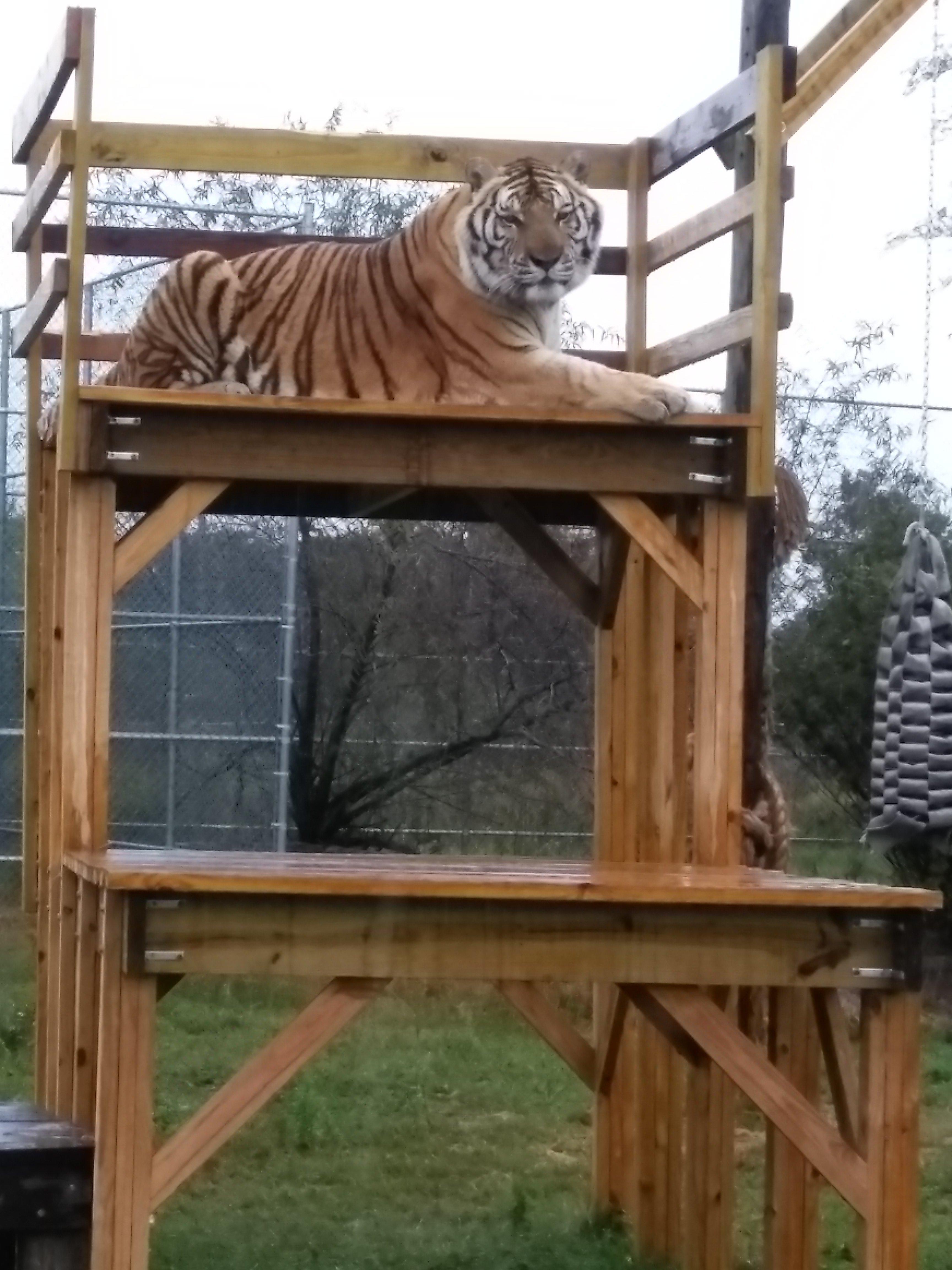 Elmira's Wildlife Sanctuary